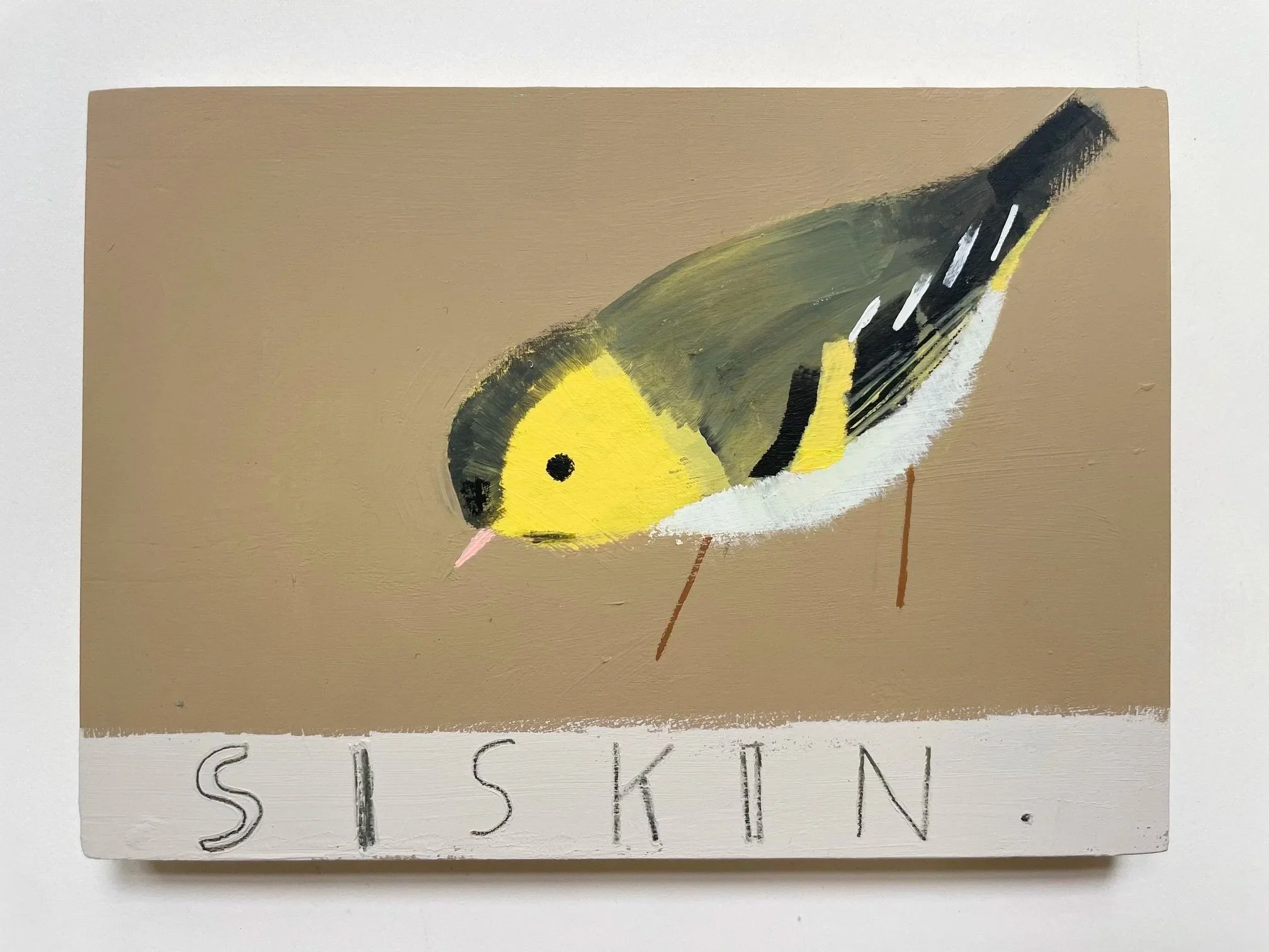 Siskin.jpg