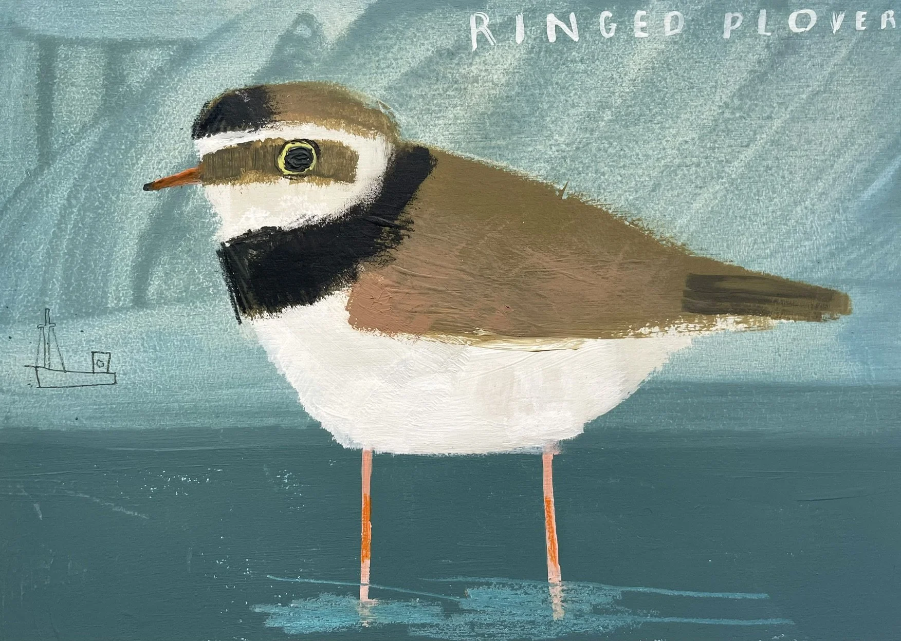 Ringed_Plover.jpeg
