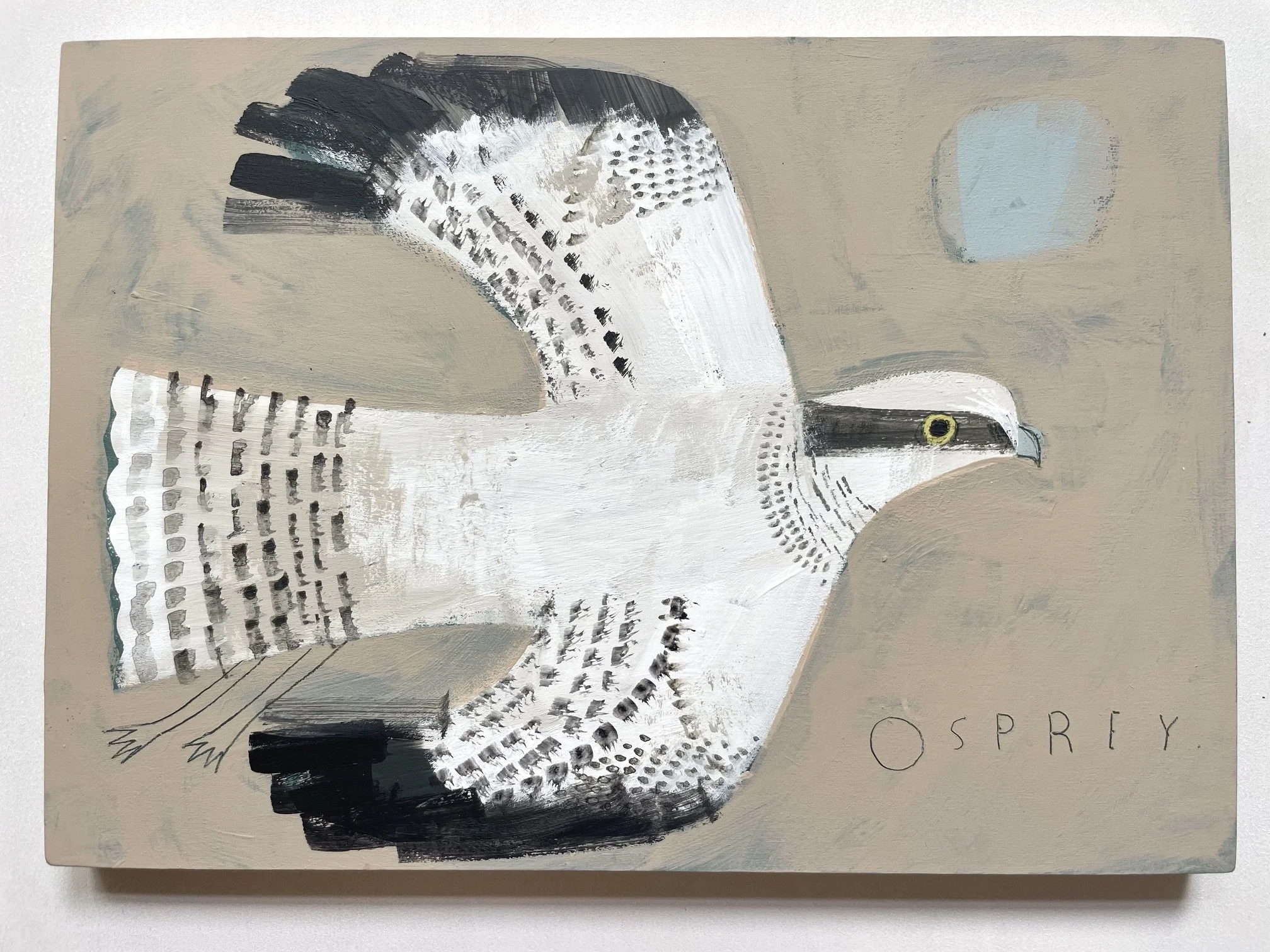 Osprey2.jpeg