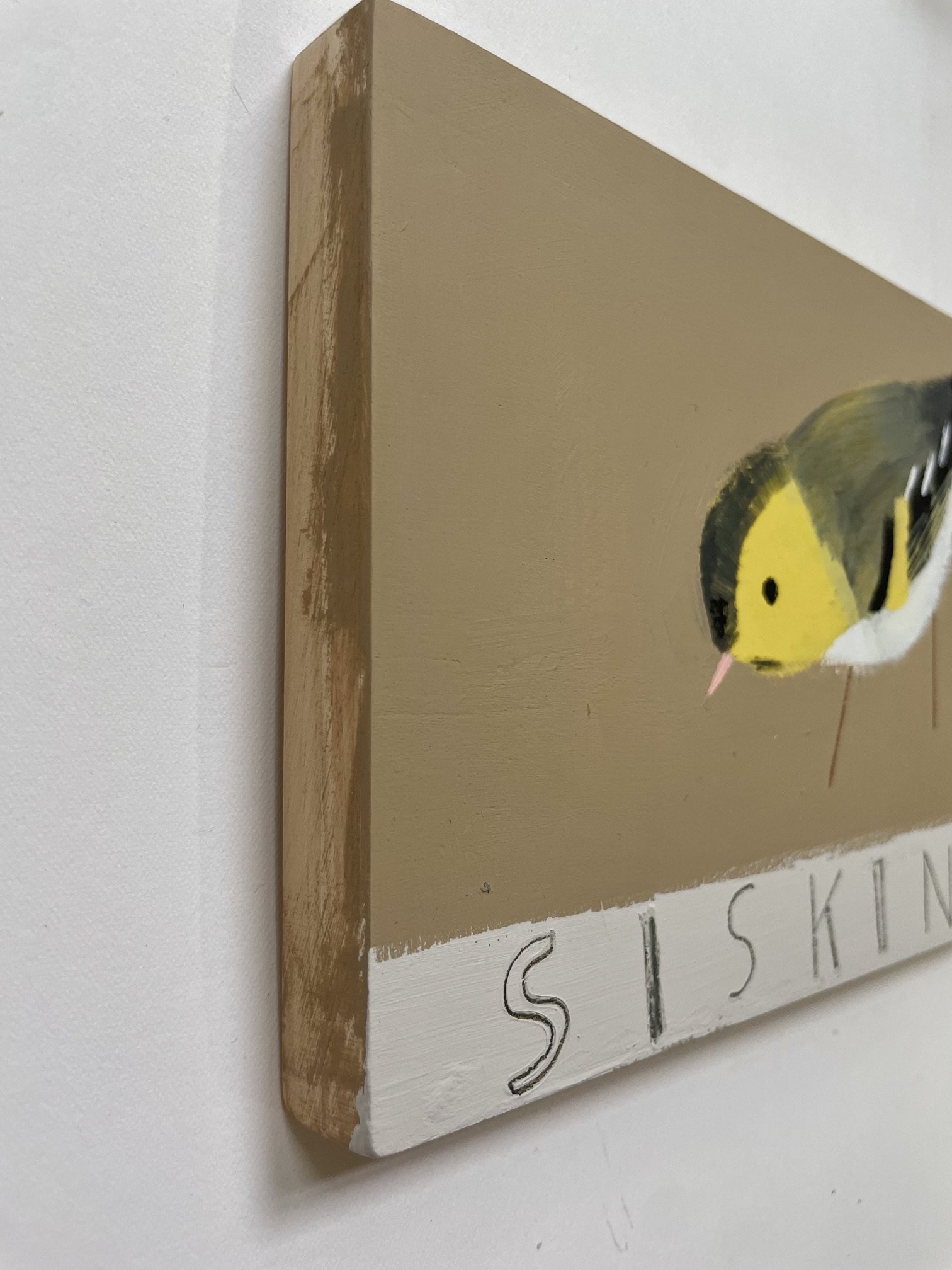 Siskin3.jpeg