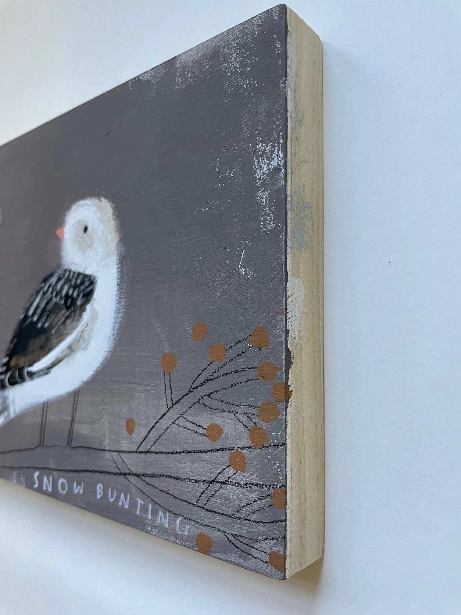 Snow_Bunting3.jpg