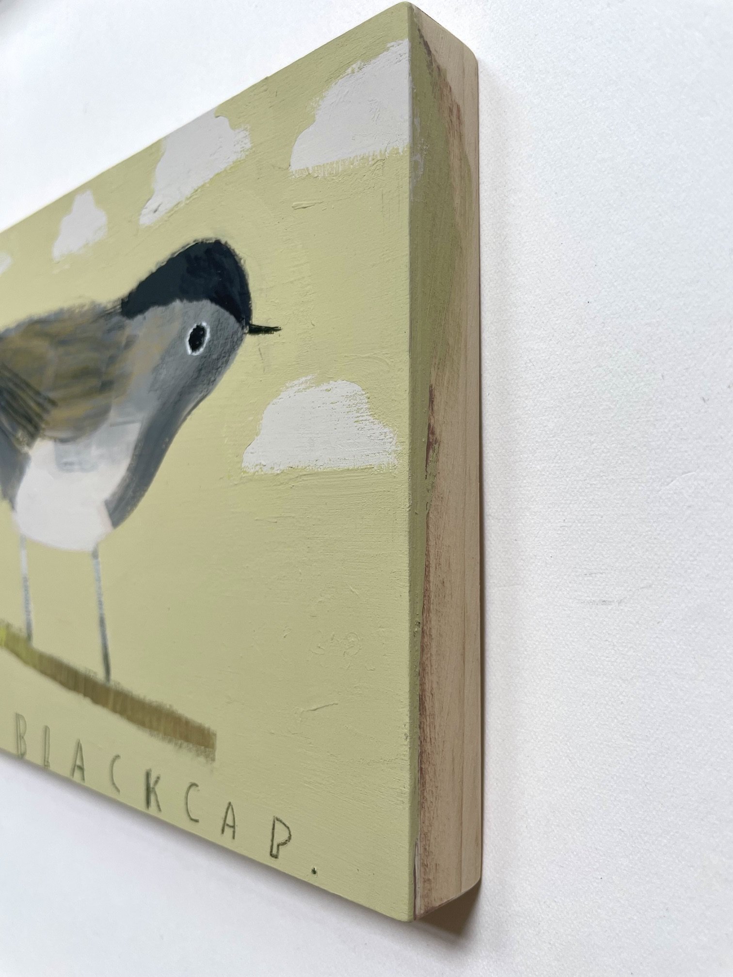 Blackcap3.jpeg