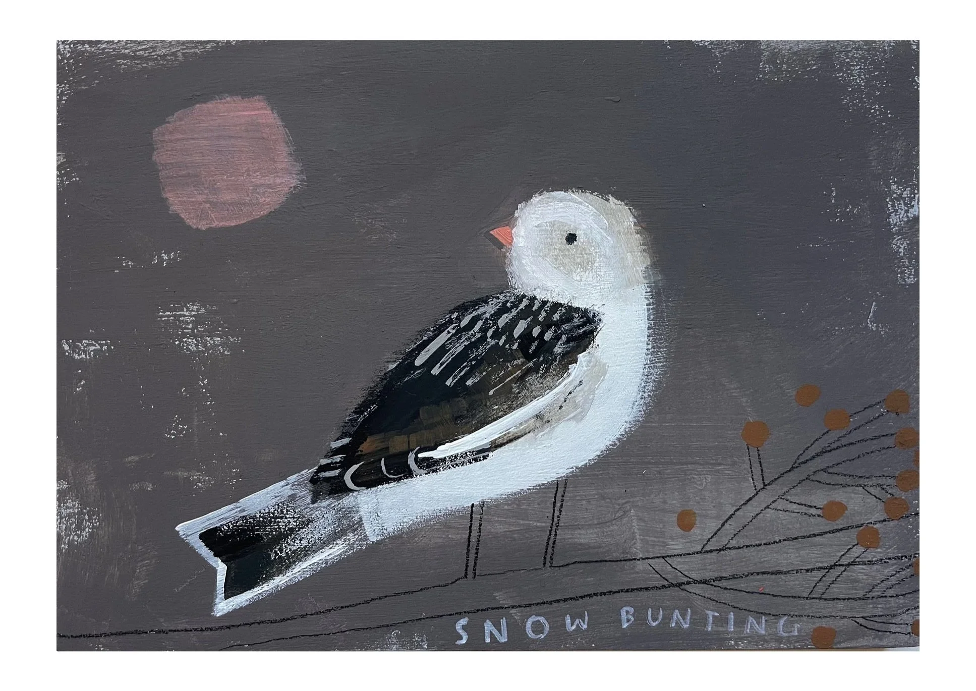 Snow_Bunting.jpg
