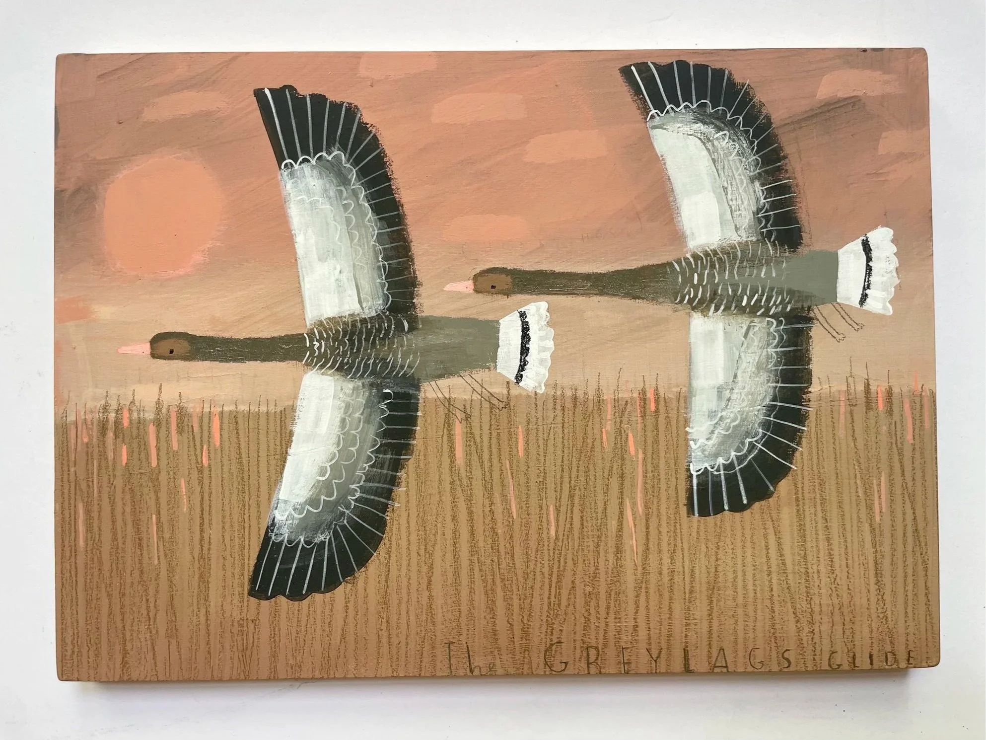 Greylags_Glide2.jpg