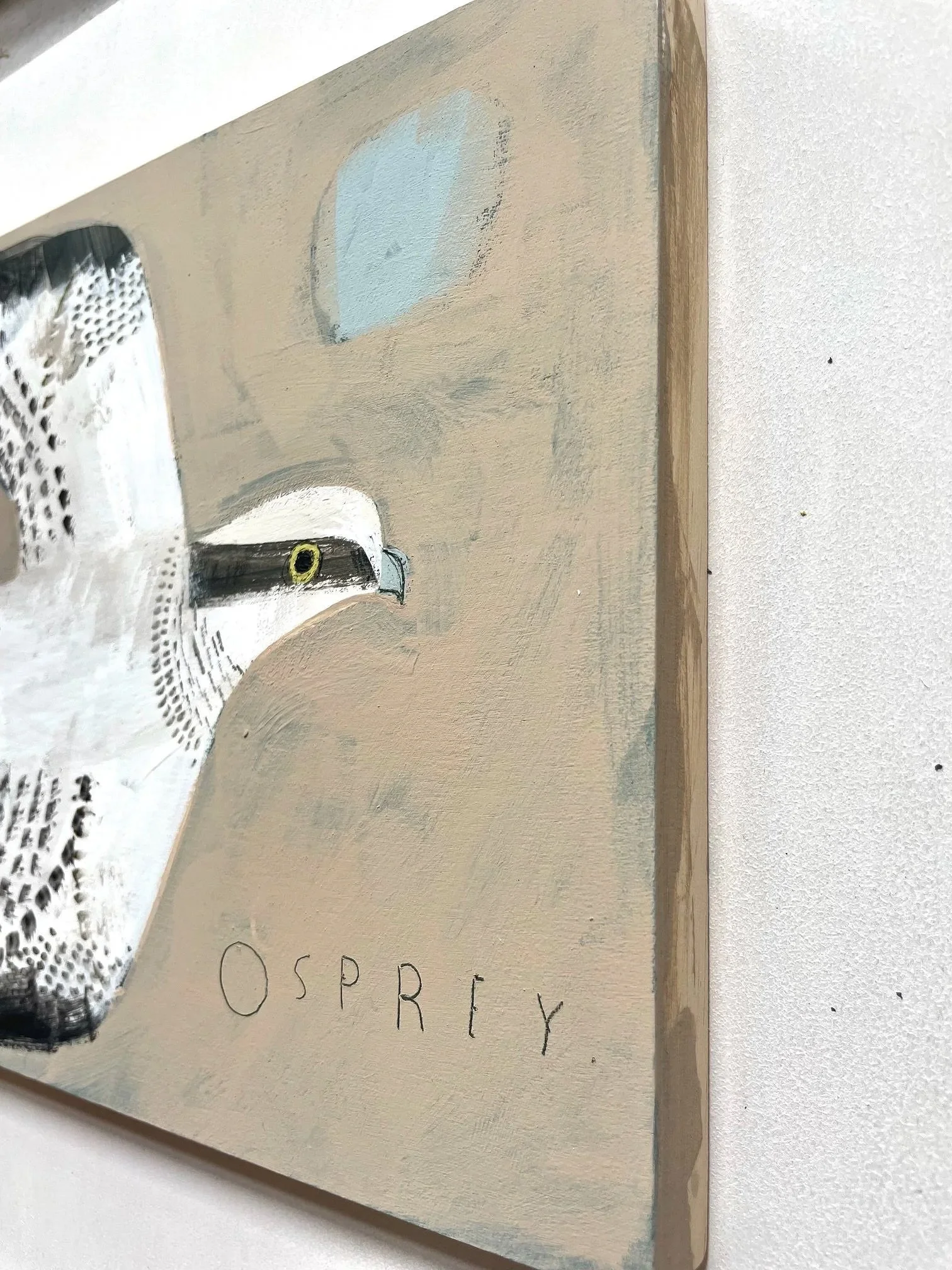 Osprey3.jpg