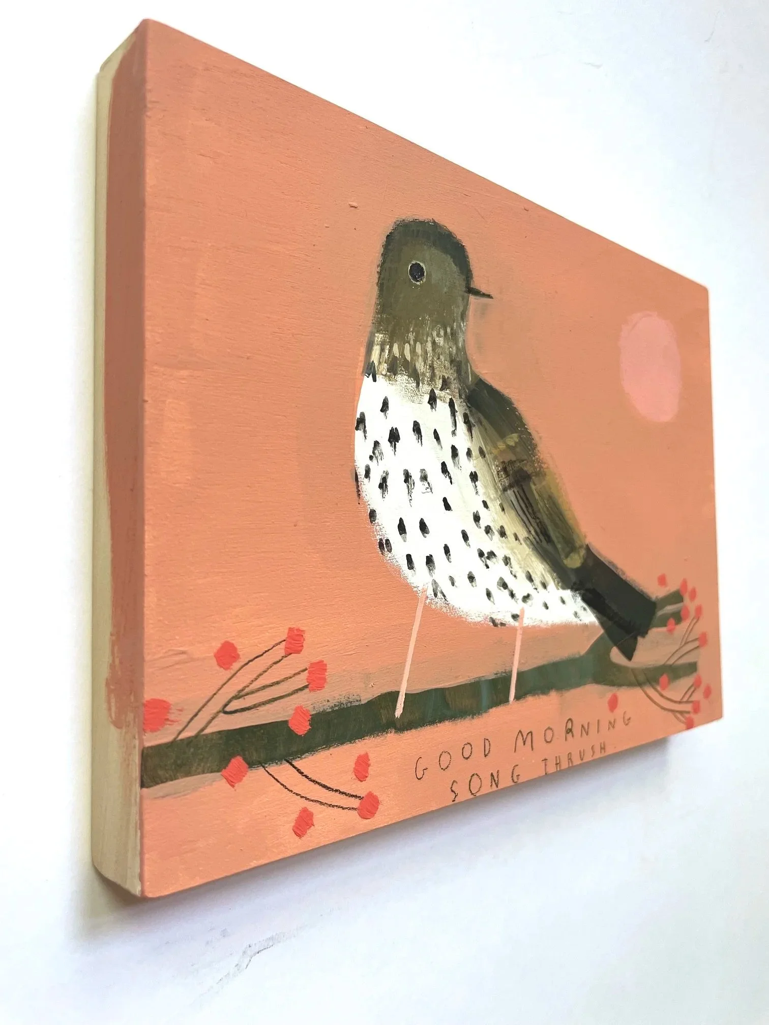Song_Thrush_Morning3.jpg