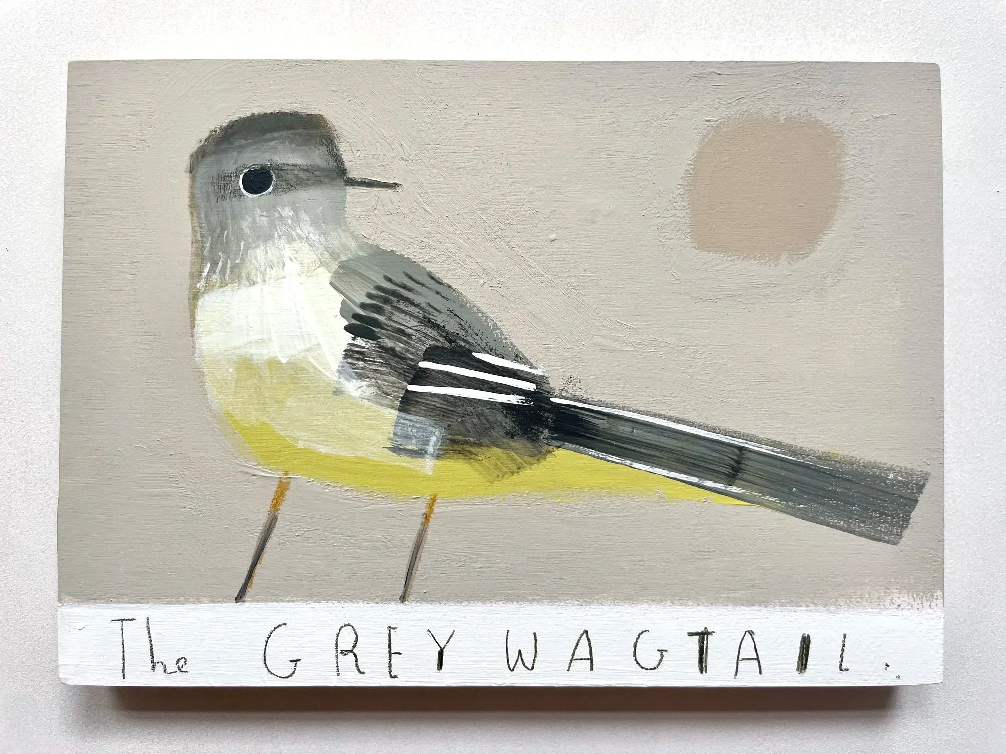 GreyWagtail2.jpg