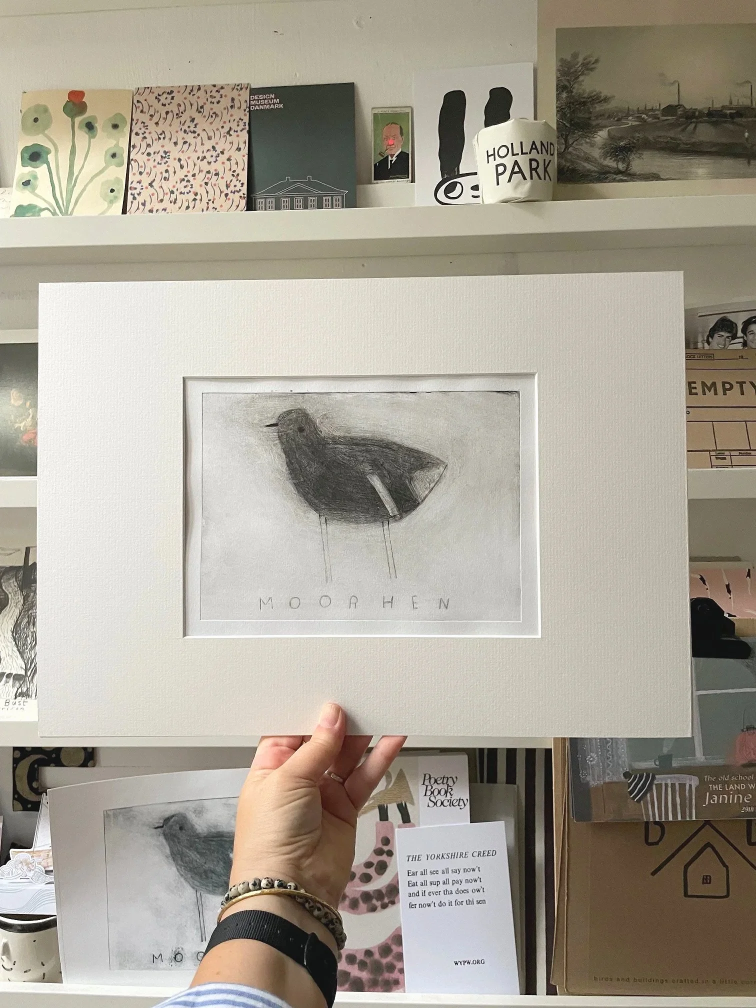 Moorhen3.jpg