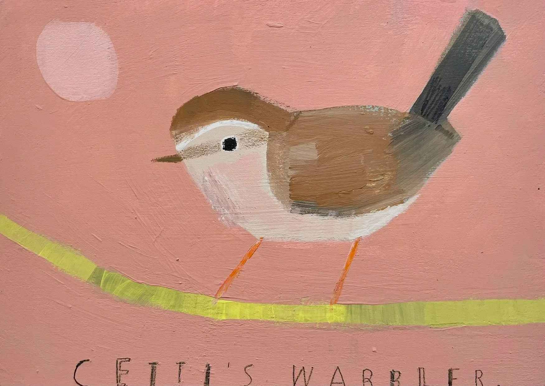 Cetti%27s_Warbler.jpg