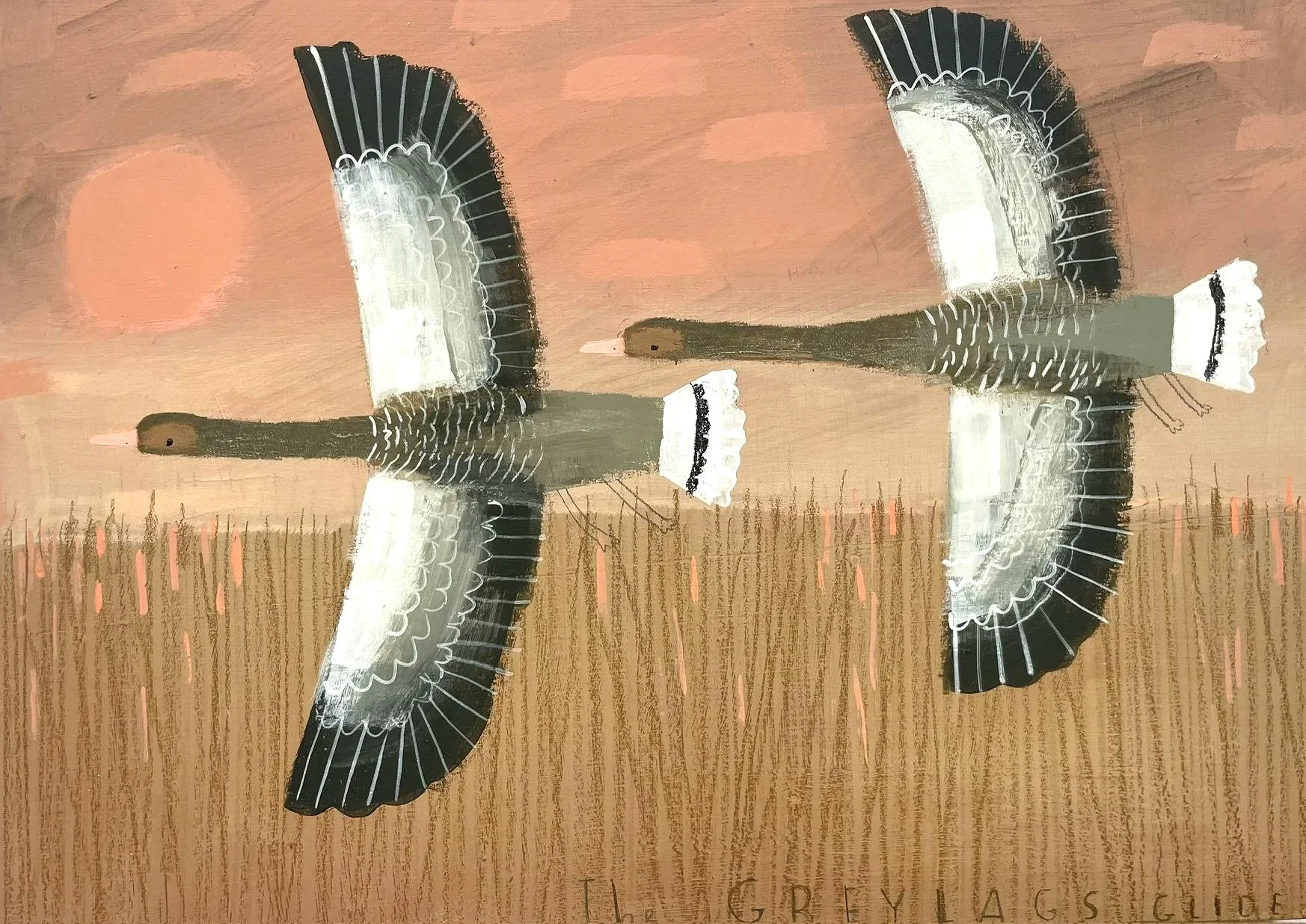Greylags_Glide.jpg