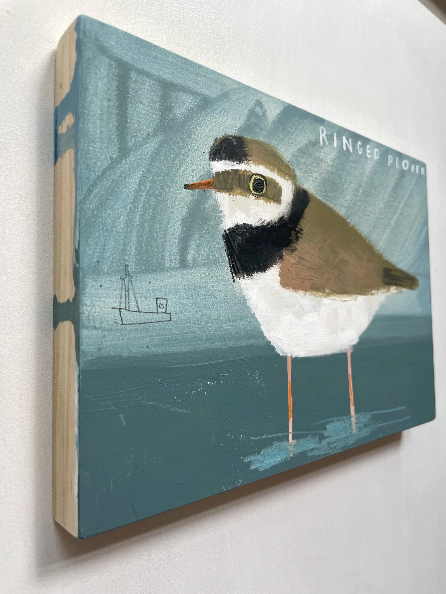 Ringed_Plover3.jpeg