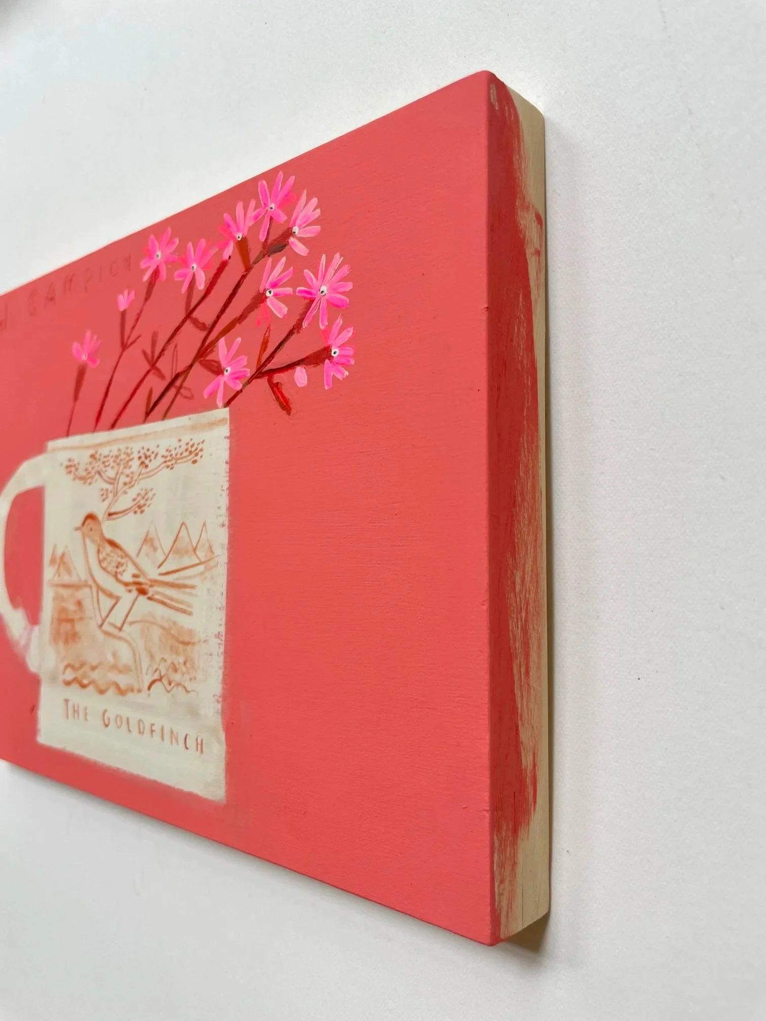 Red_Campion3.jpg