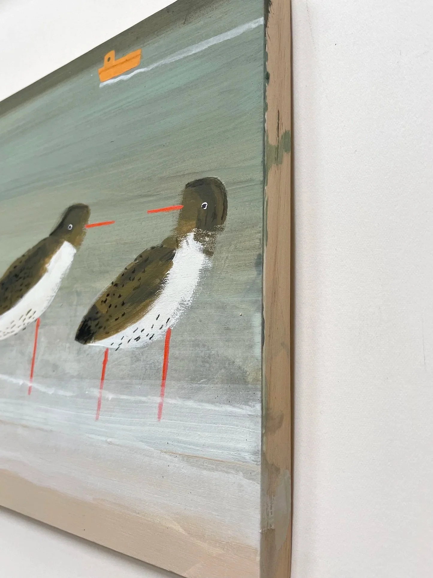 A_Contradiction_Of_Redshanks3.jpg