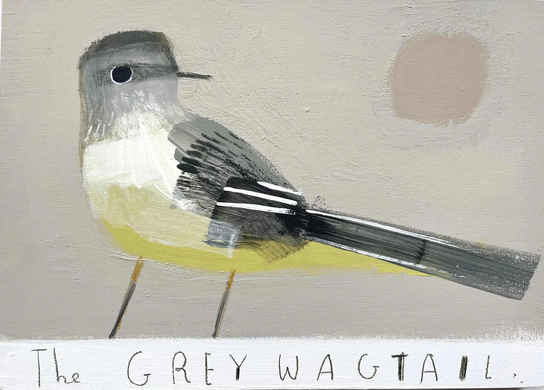 GreyWagtail.jpeg
