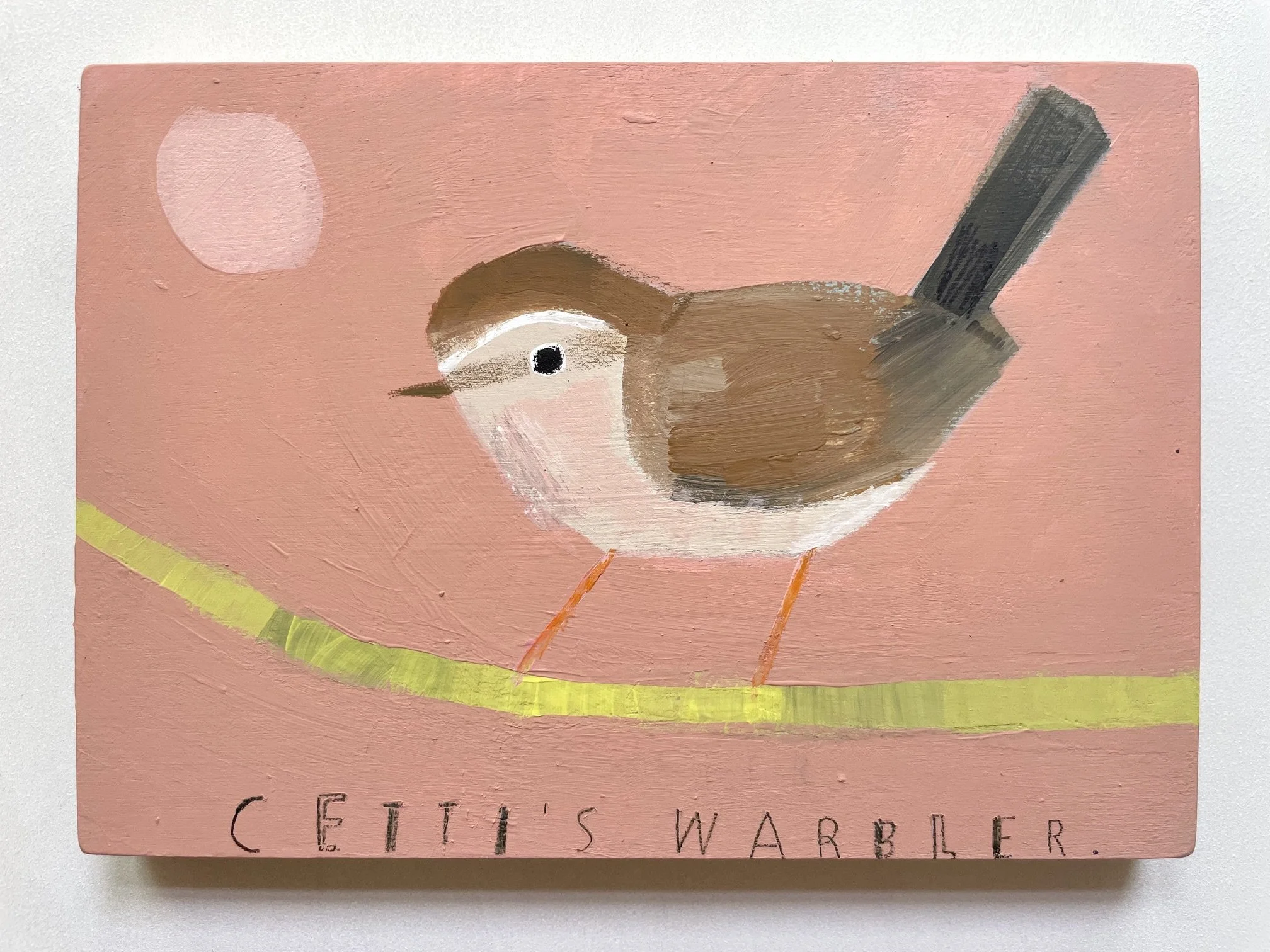 Cetti's_Warbler2.jpeg