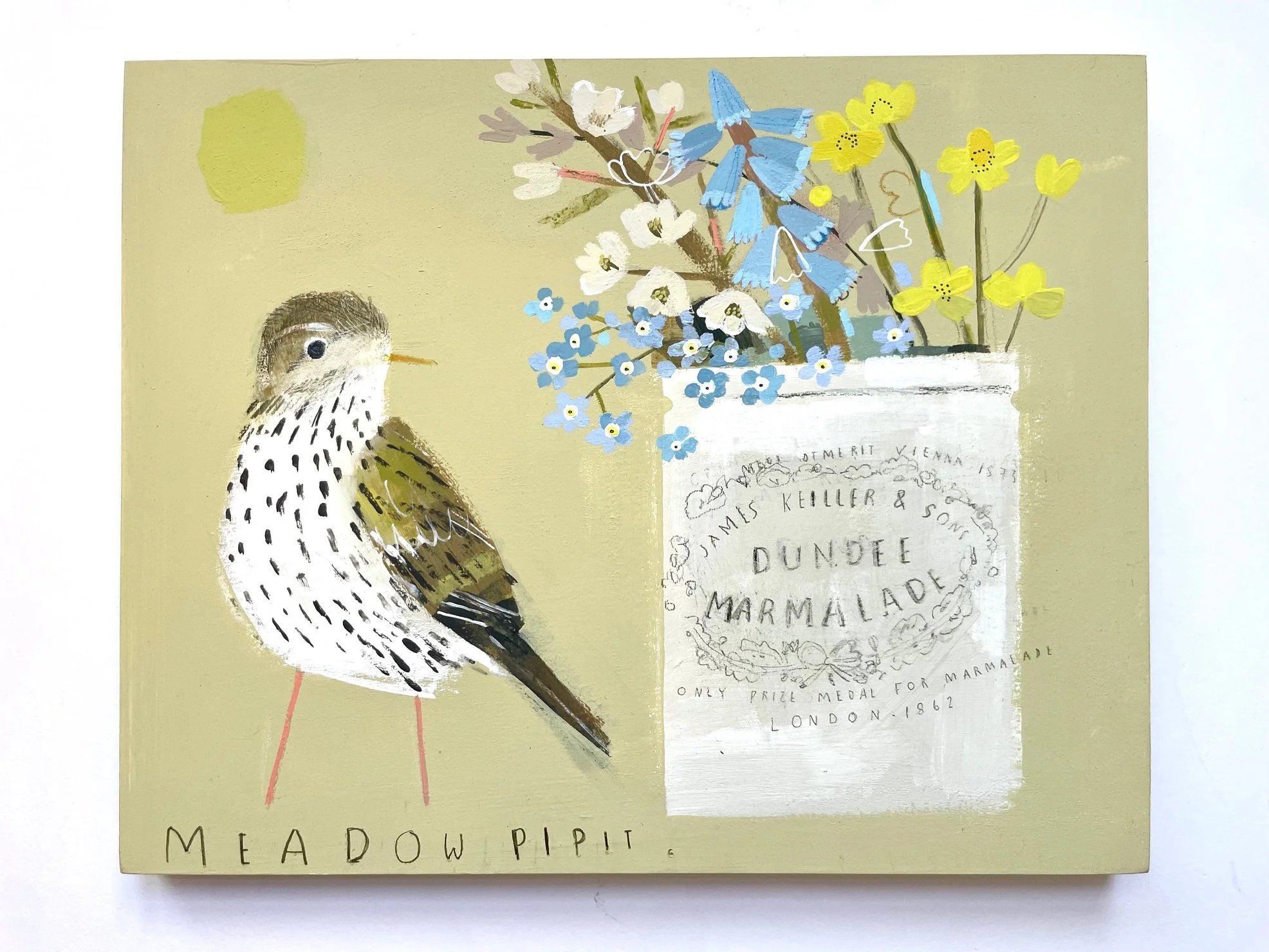 Meadow_PIpit.jpg