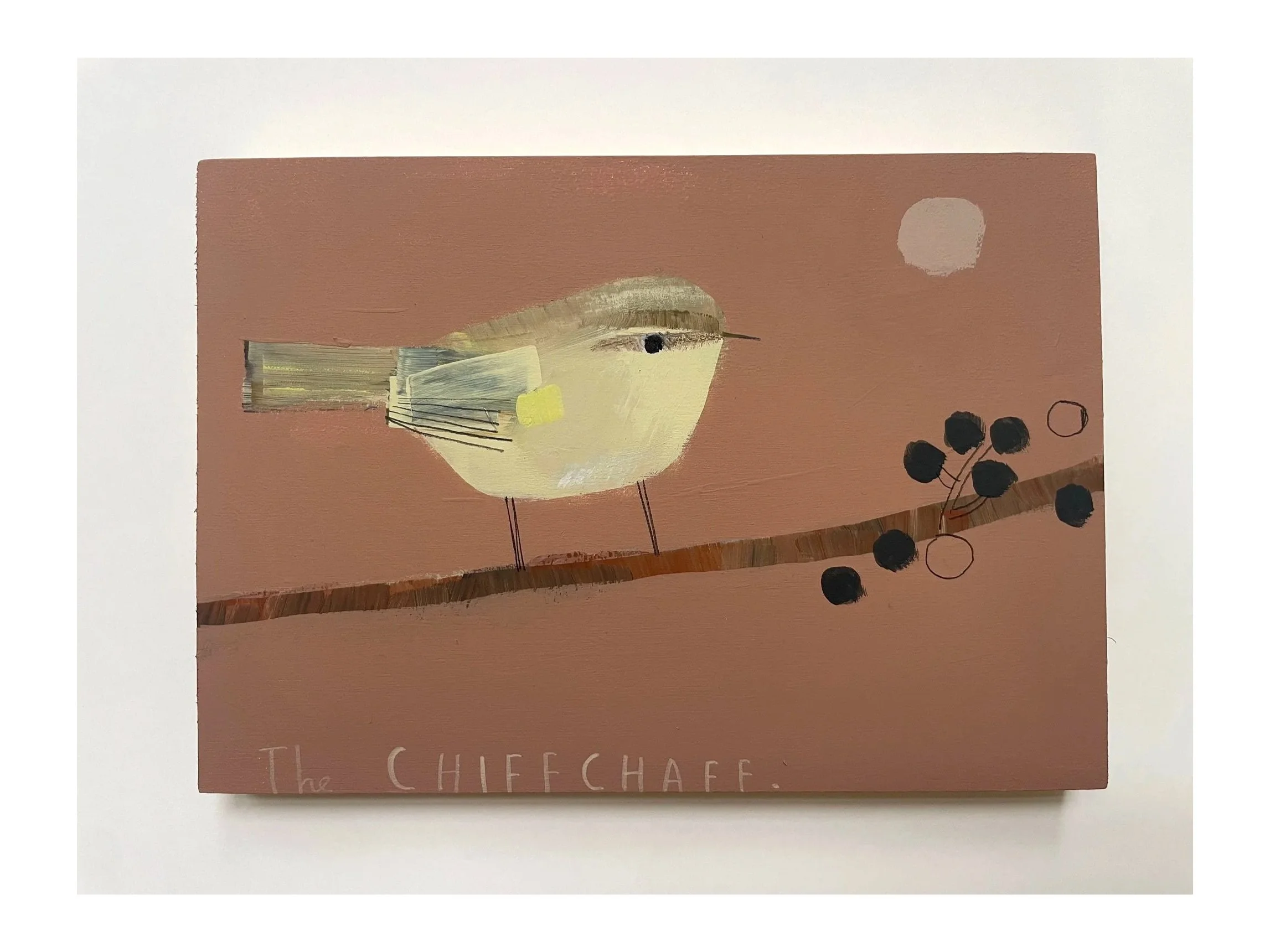The_Chiffchaff2.jpg