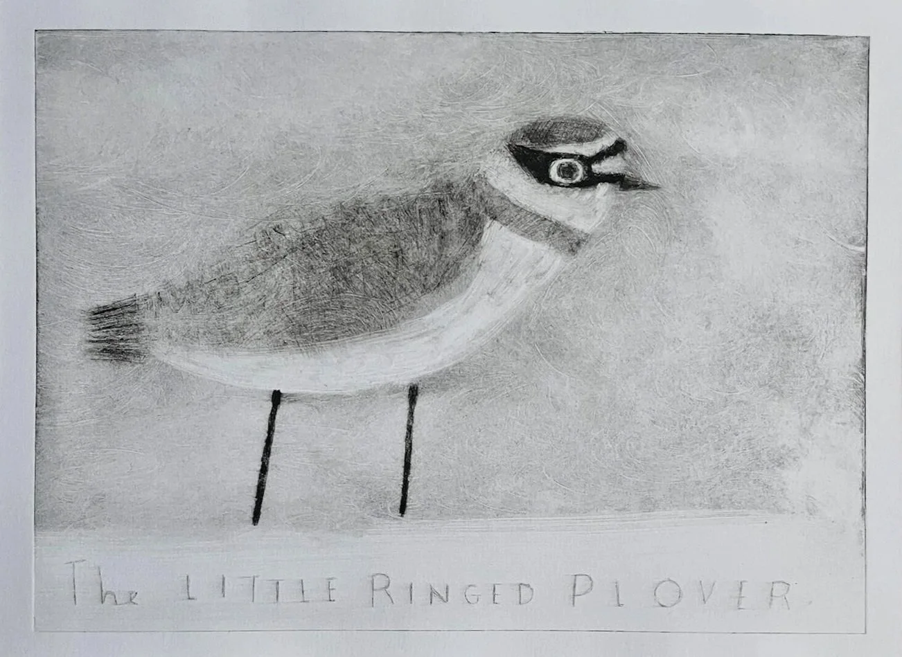 Little+Ringed+Plover1copy.jpg