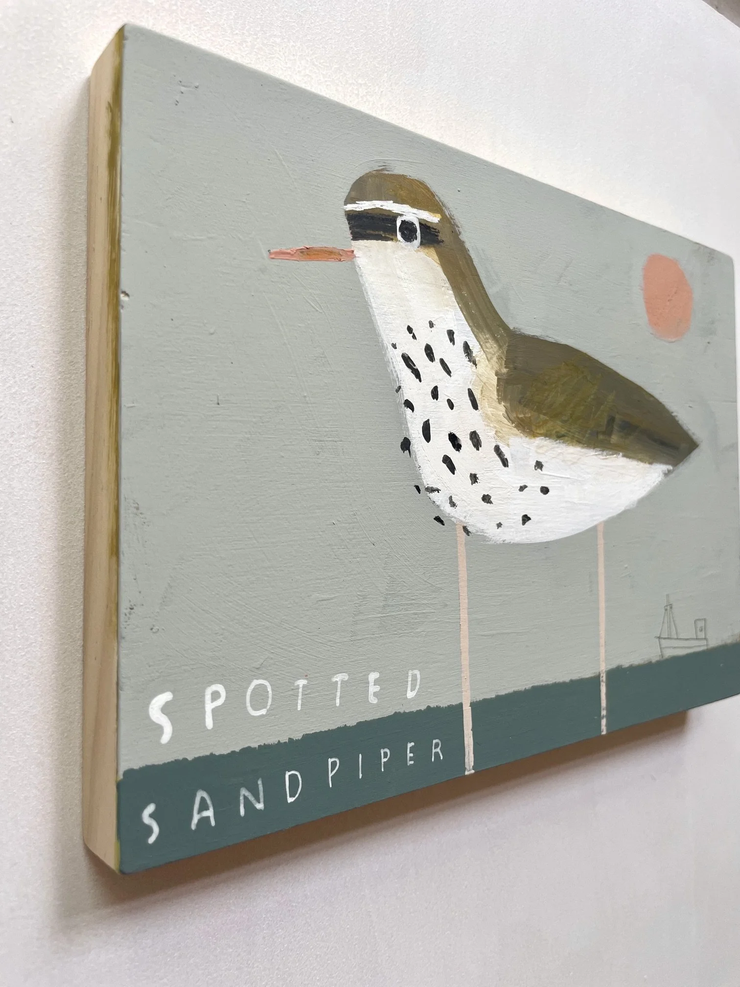 Spotted_Sandpiper3.jpeg