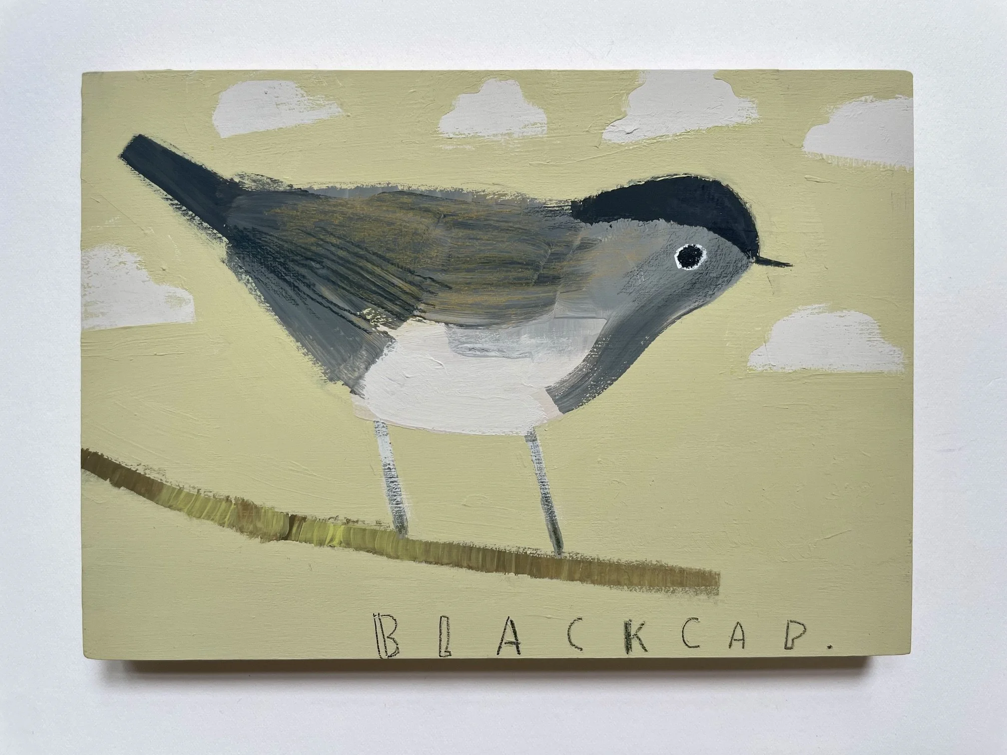 Blackcap.jpeg