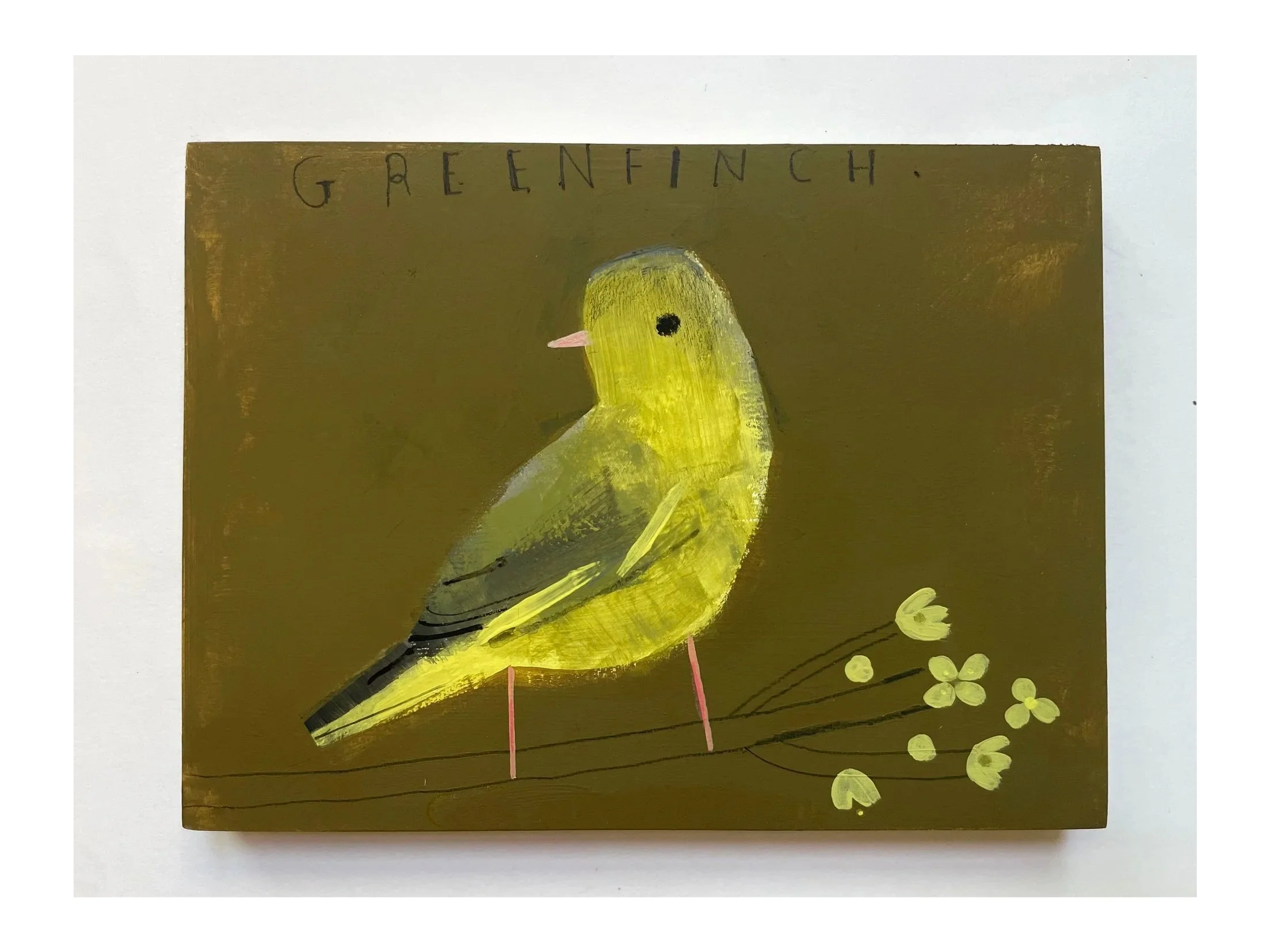 Greenfinch.jpg