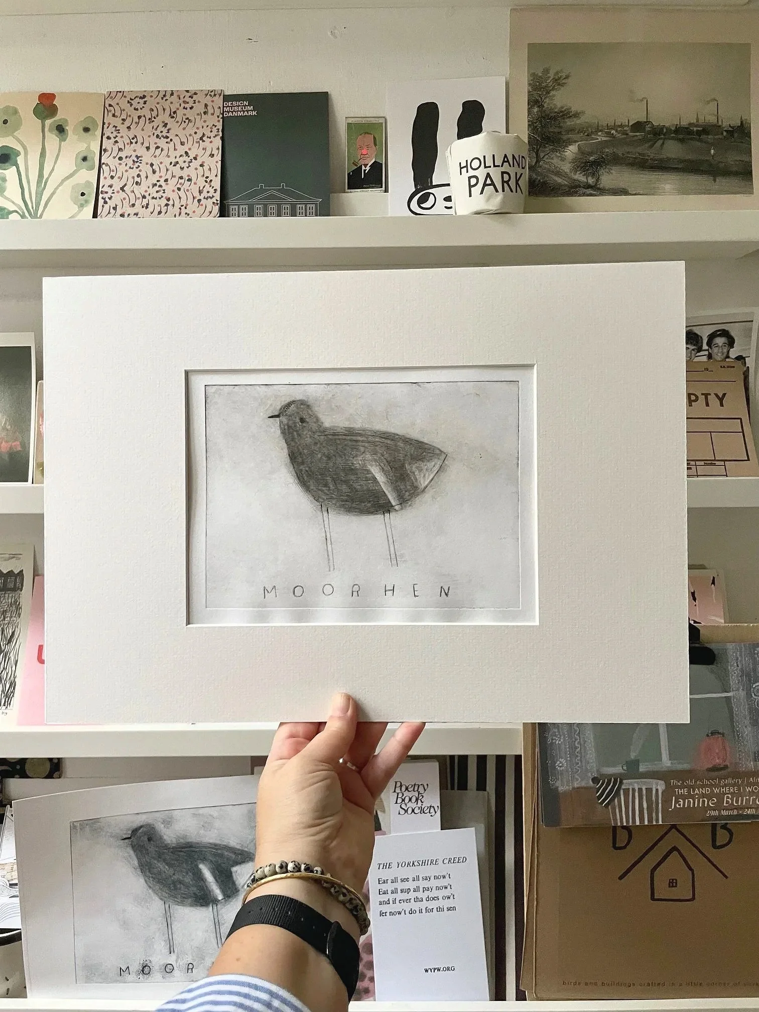 Moorhen2.jpg
