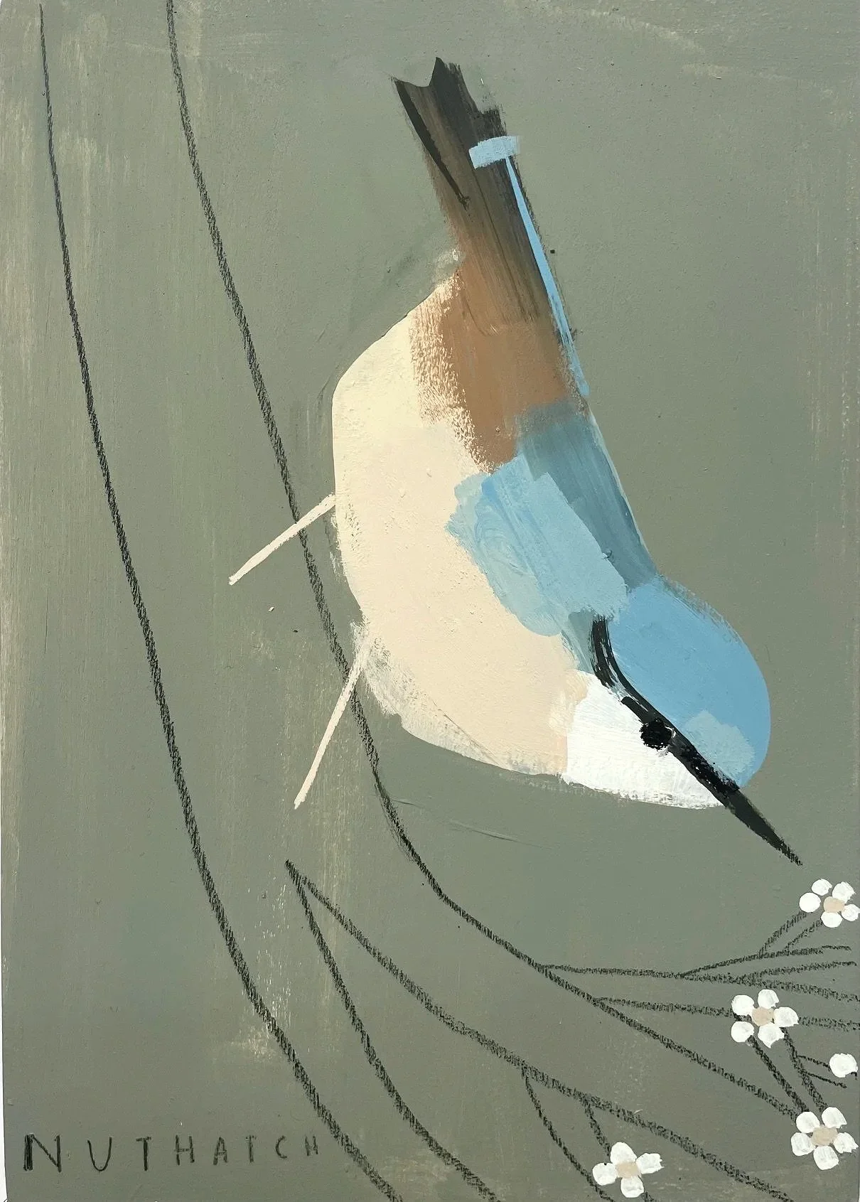 Nuthatch.jpg
