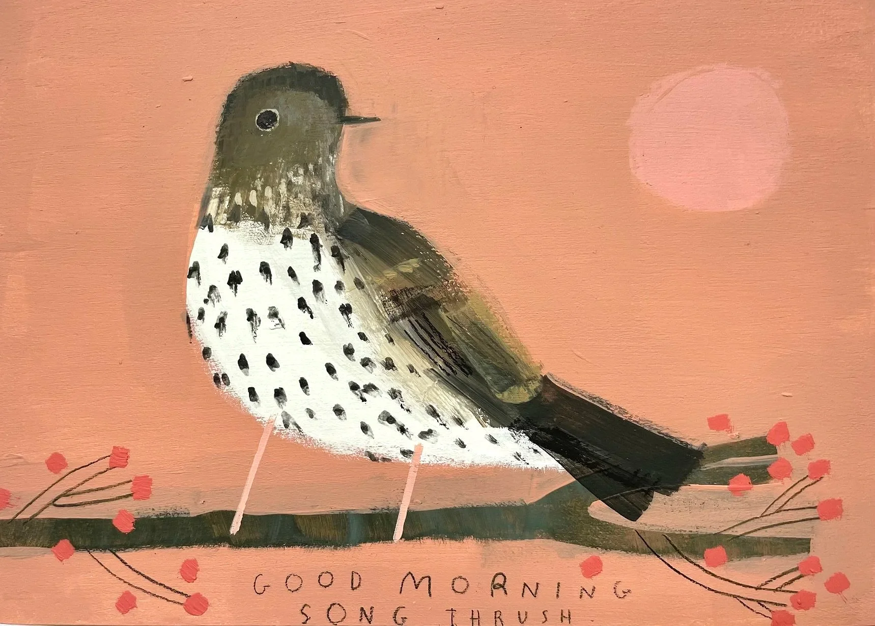 Song_Thrush_Morning.jpg