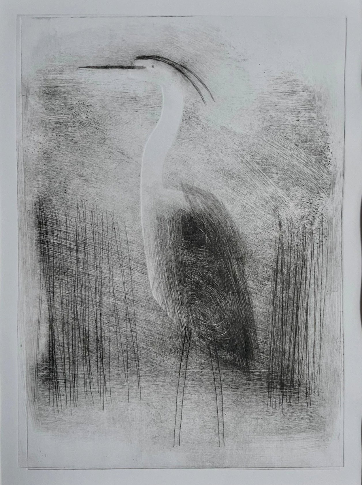 Heron1copy.jpg