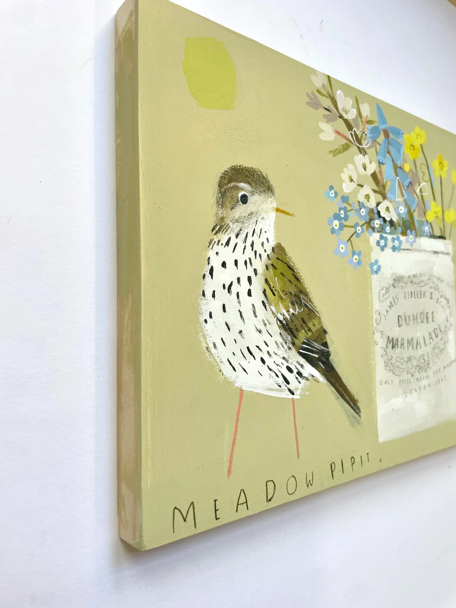 Meadow_PIpit3.jpeg