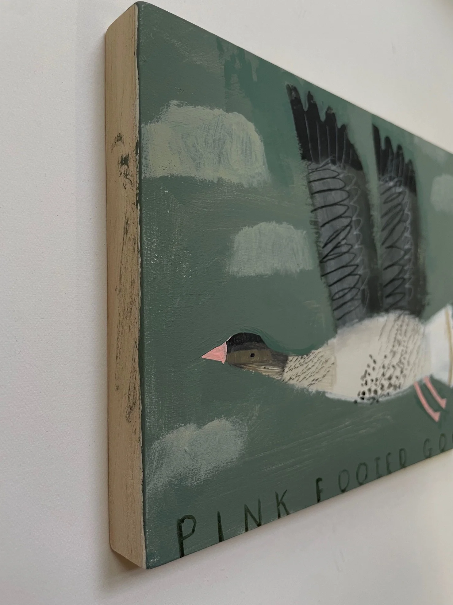 Pink_Footed_Goose3.jpeg