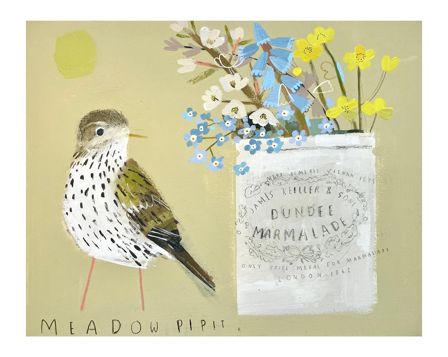 Meadow_PIpit2.jpg