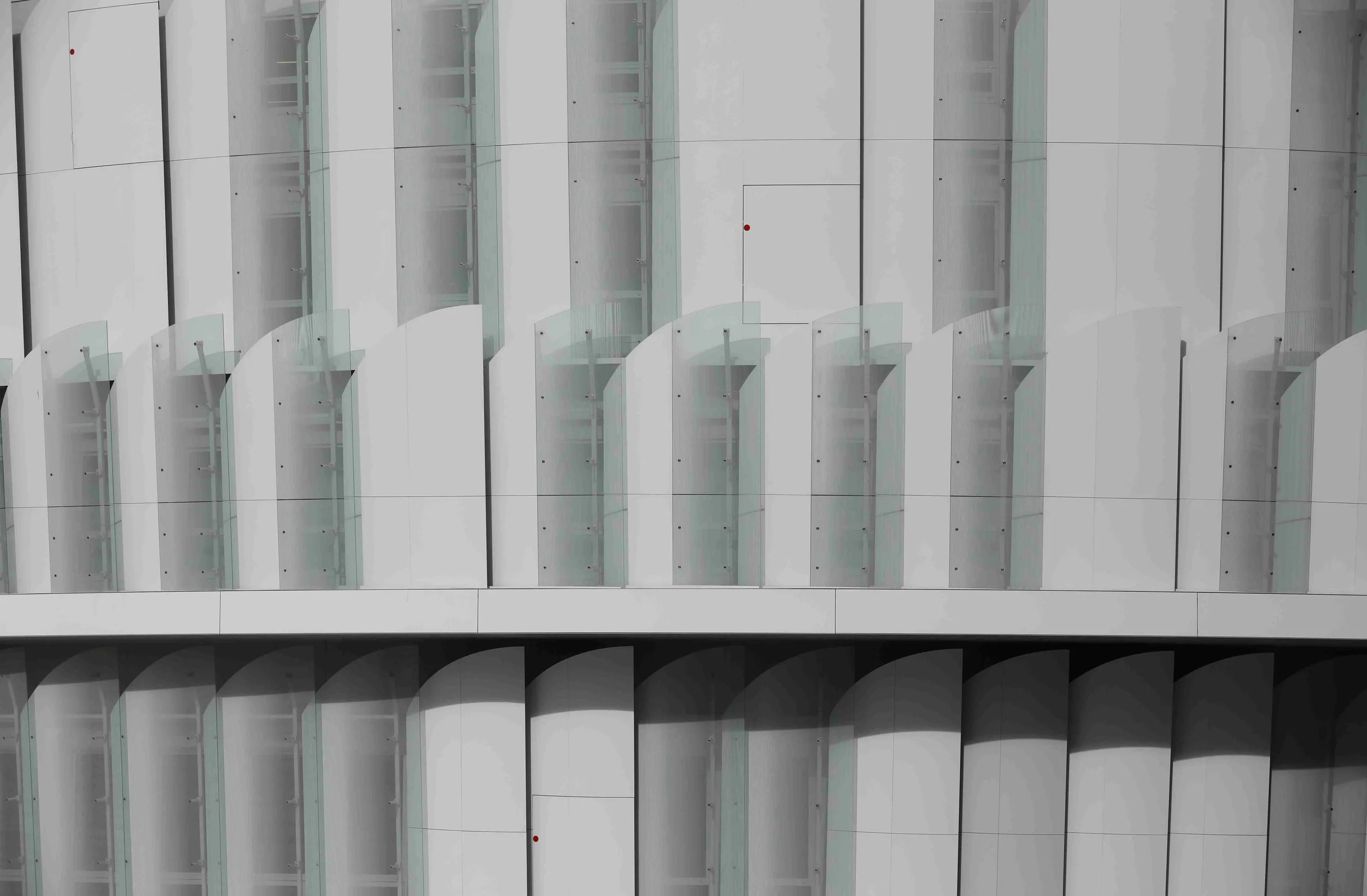 WHITE FINS