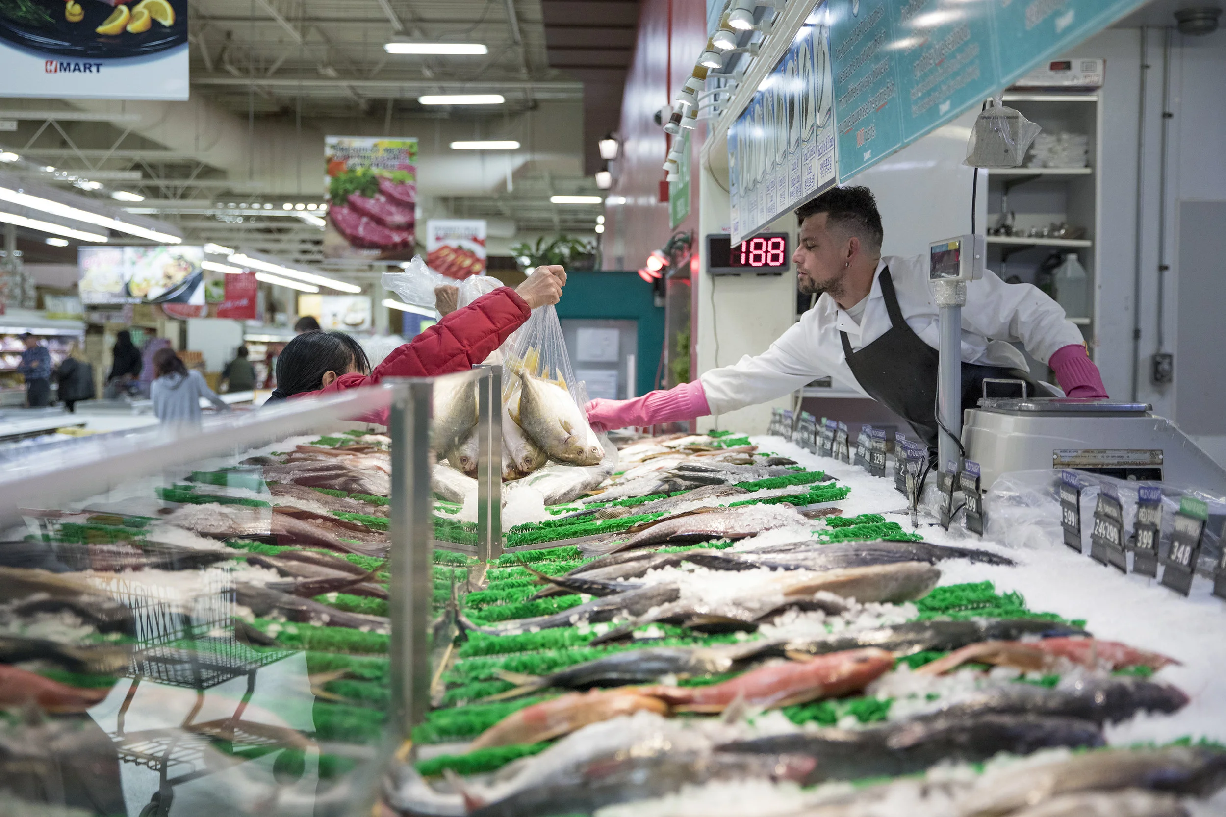 H-Mart customers have a large variety of farm-raised and fresh caught fish to choose from. The proposed location for Korea Town would be in the area of South Havana Street and Parker Road.