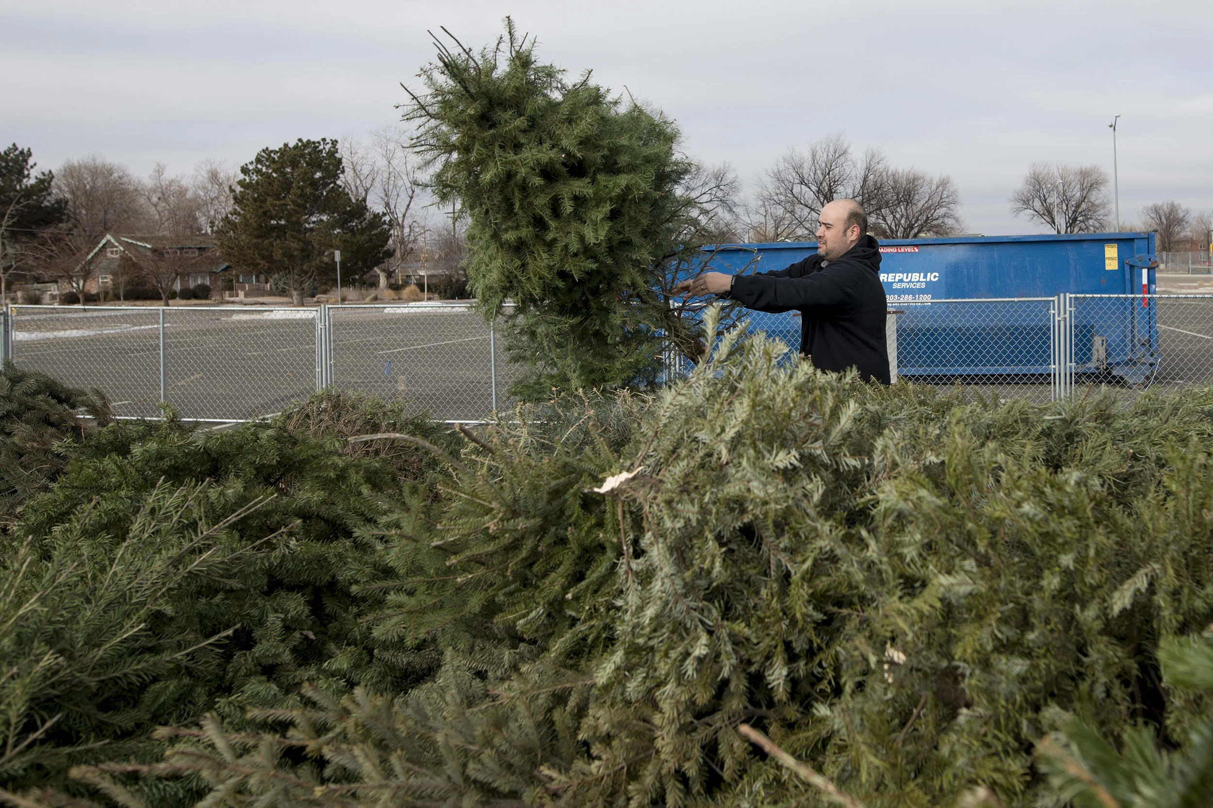 Aurora resident, Luis Quintero, dumps his tree to be recycled Dec. 31 at Del Mar Park. The city of Aurora is offering Christmas tree recycling at three locations, Del Mar Park, Olympic Park and Saddle Rock Golf Course until Jan. 8. 