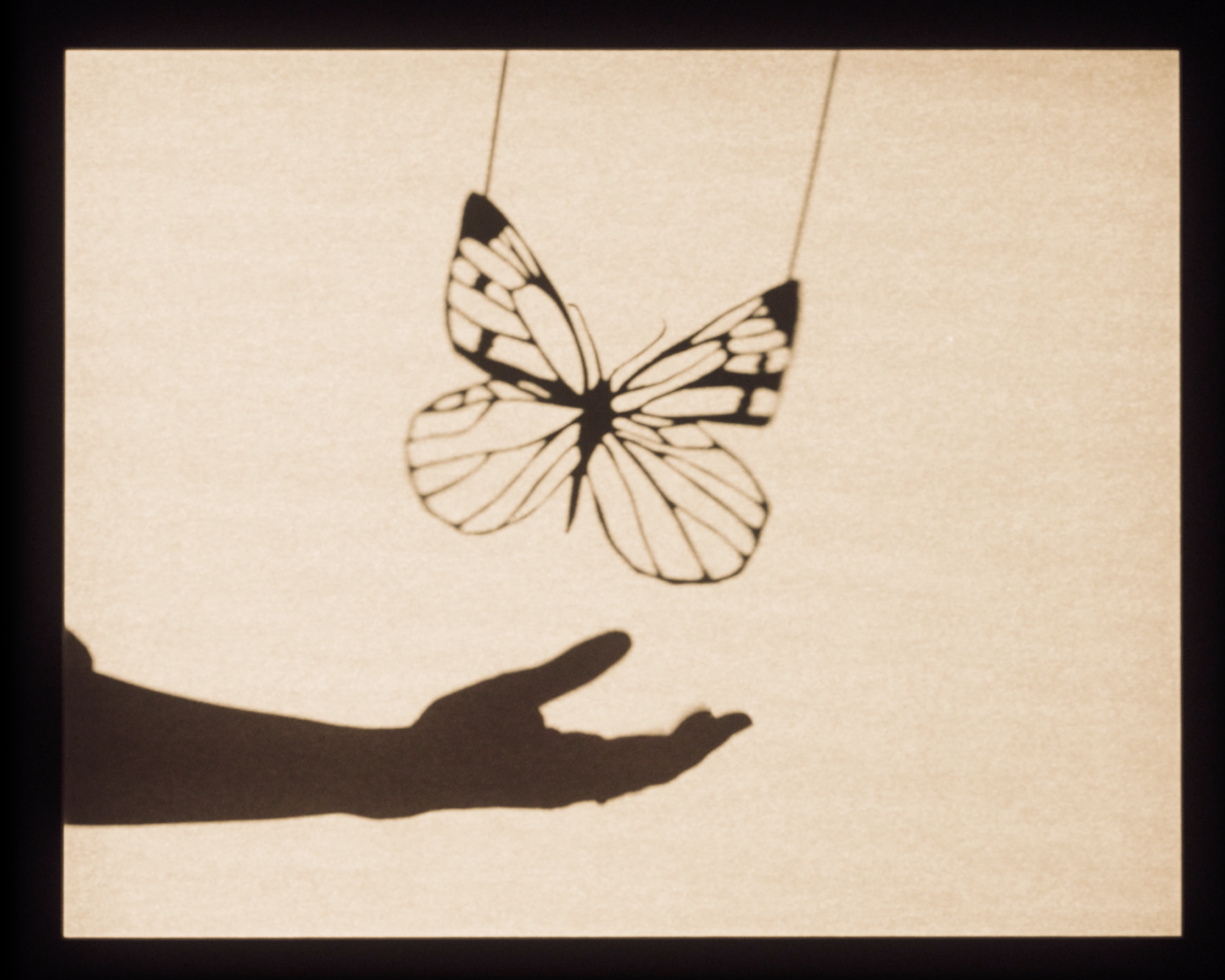 Butterfly in Takashi's dream