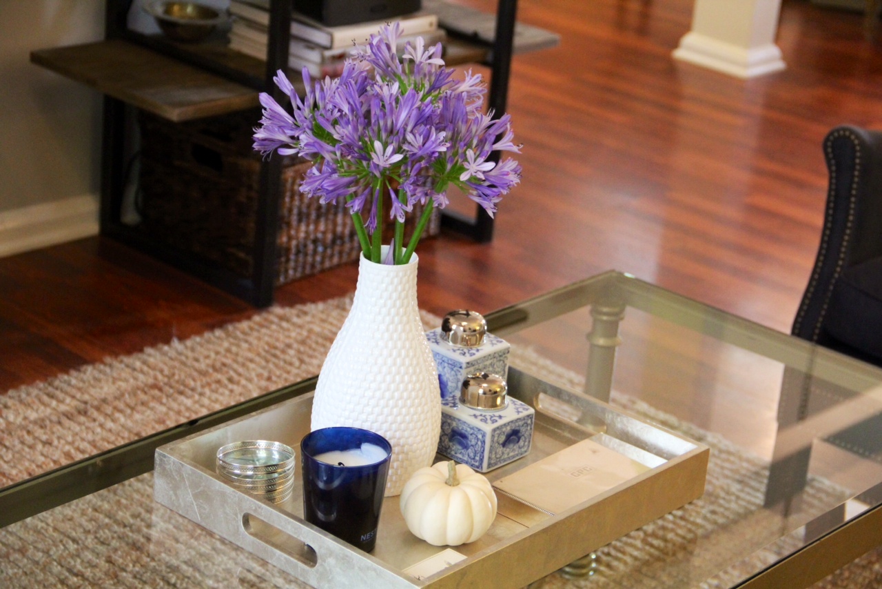 Nest Fragrances Blue Garden Candle was the perfect addition to this blue and white themed coffee table.