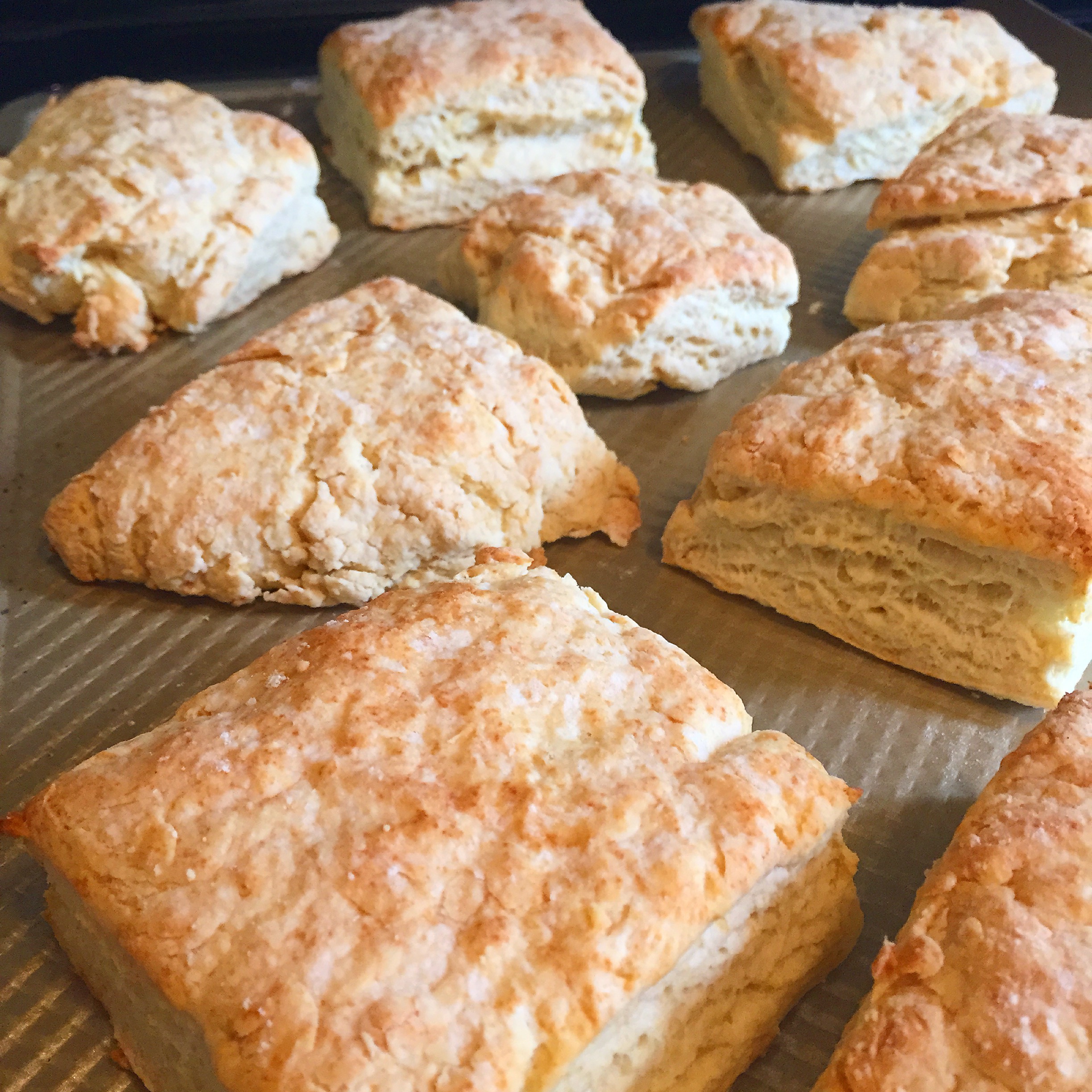 Buttermilk Biscuits.JPG