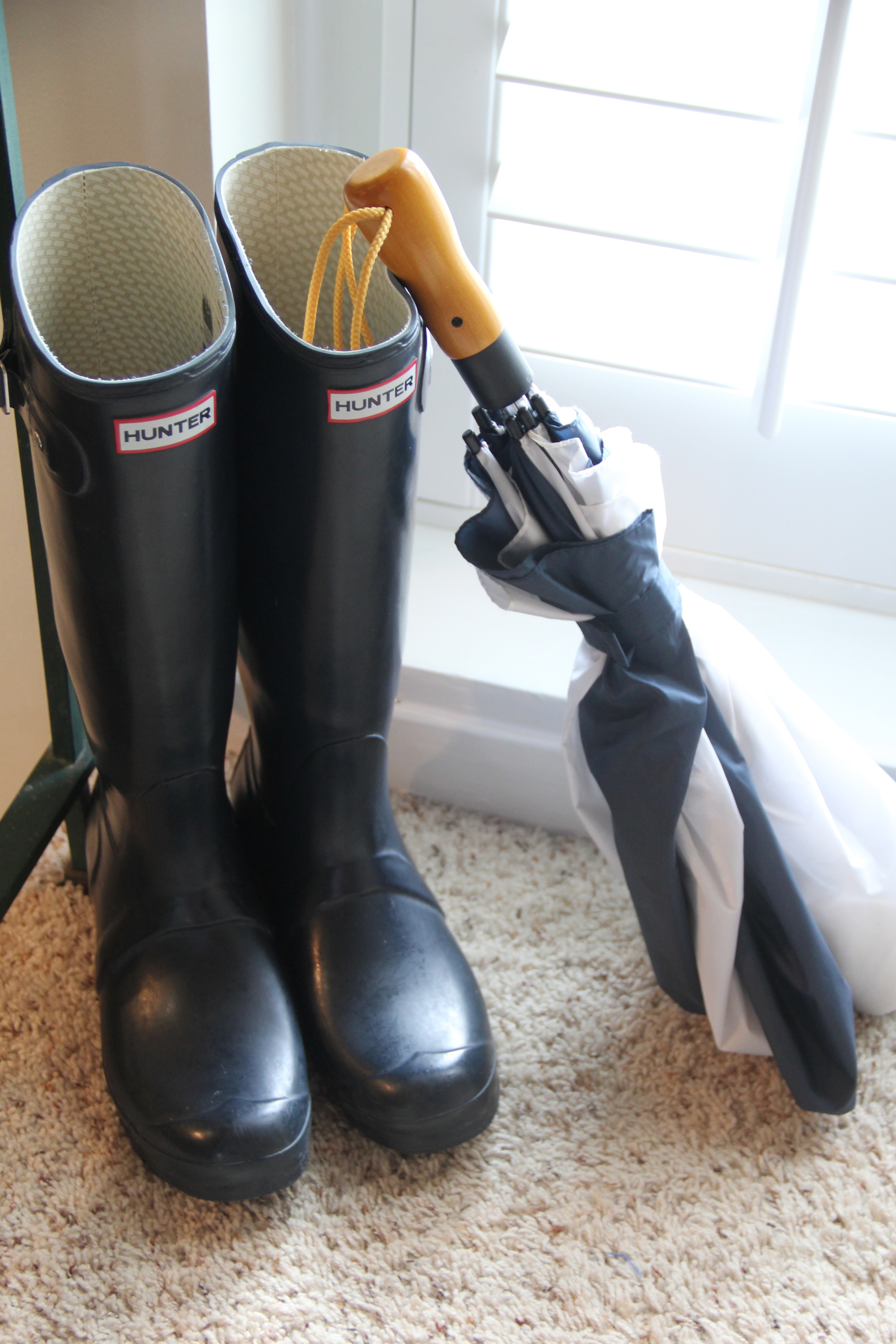 Hunter Boots and Umbrella.jpg