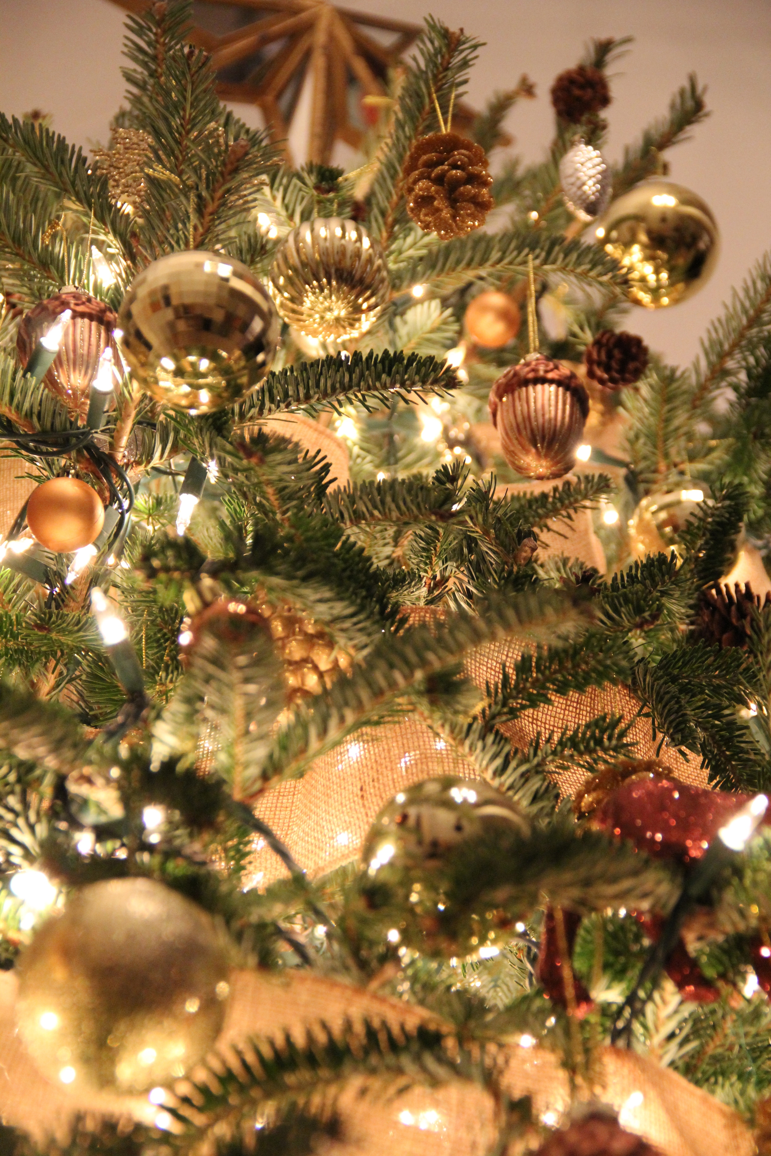 Redefining Domestics Christmas Tree 1.jpg