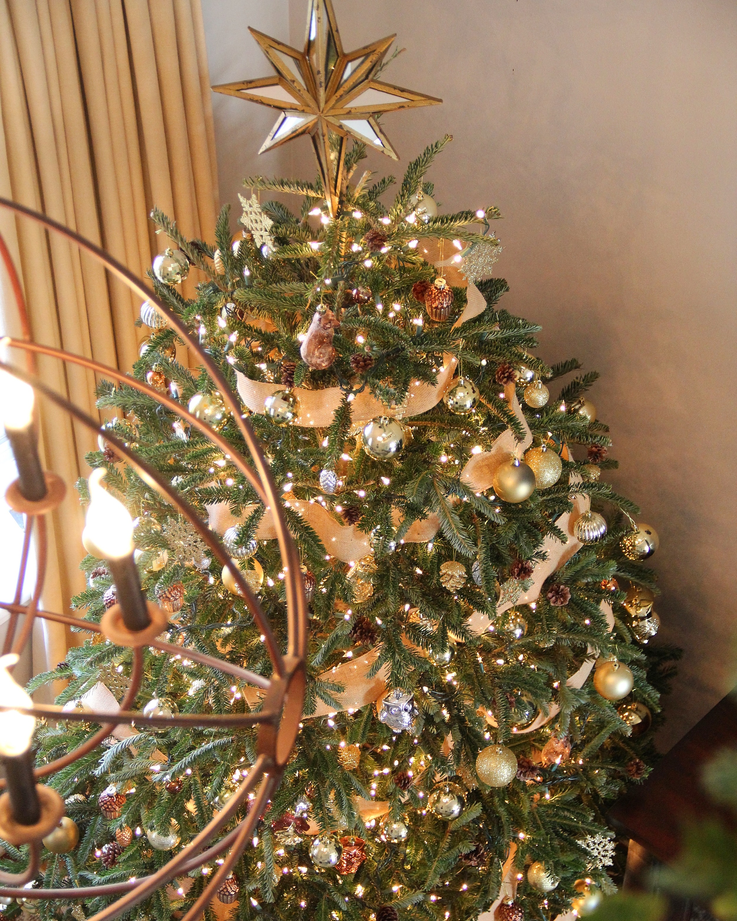 Redefining Domestics Christmas Tree.JPG