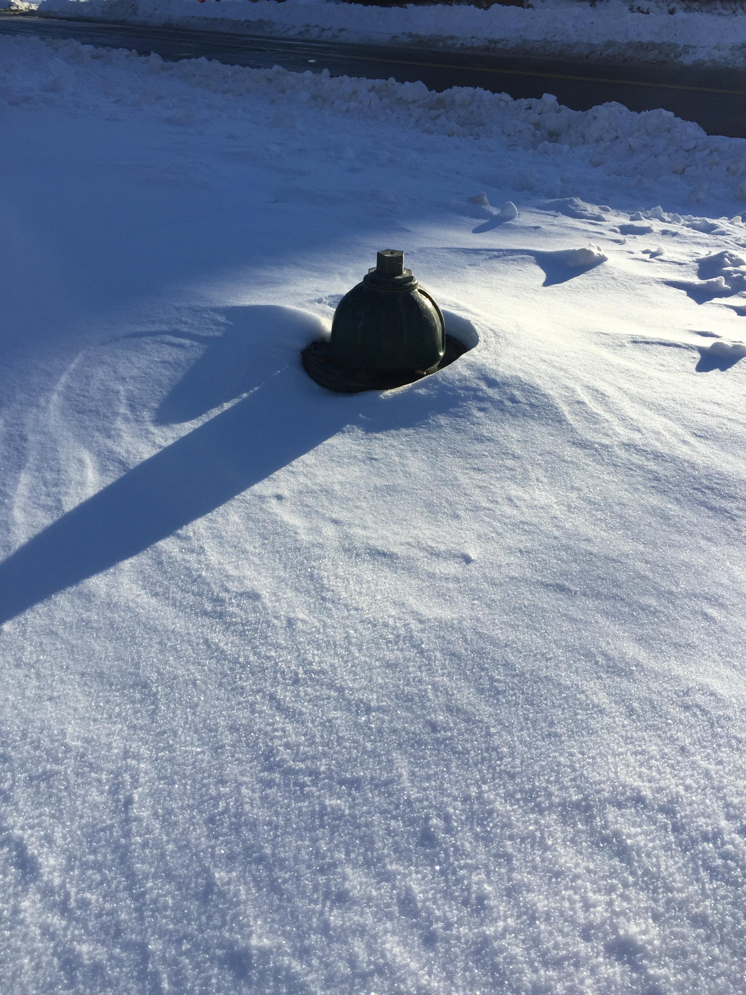 Fire Hydrant in teh Snow.JPG