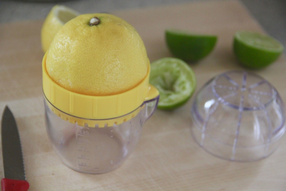 Mini Citrus Juicer 2.jpg