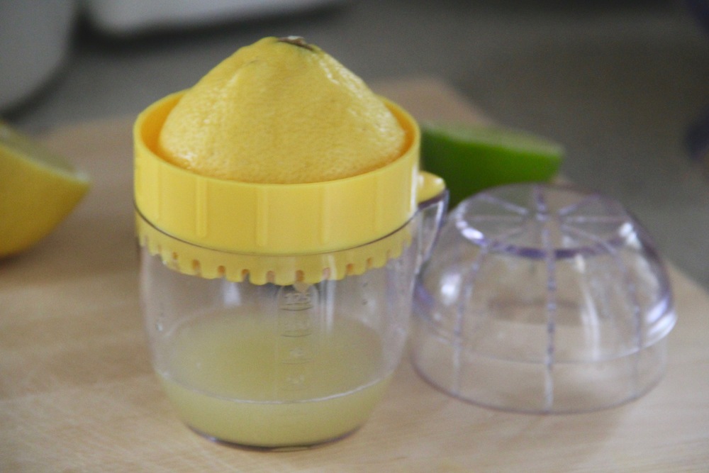 Mini Citrus Juicer 3.jpg