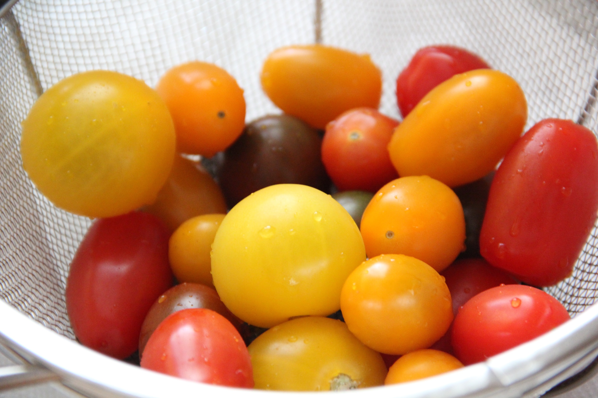 Heirloom Tomatoes.jpg