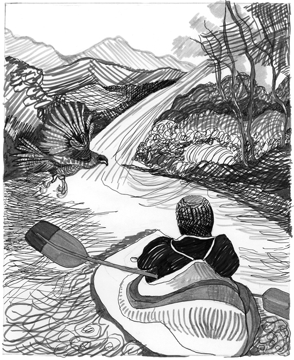 Gary-Kayak-web.jpg