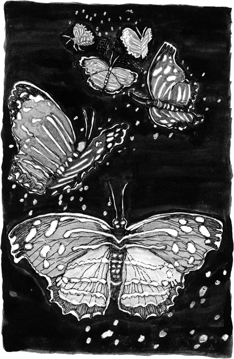 Butterflies-web.jpg