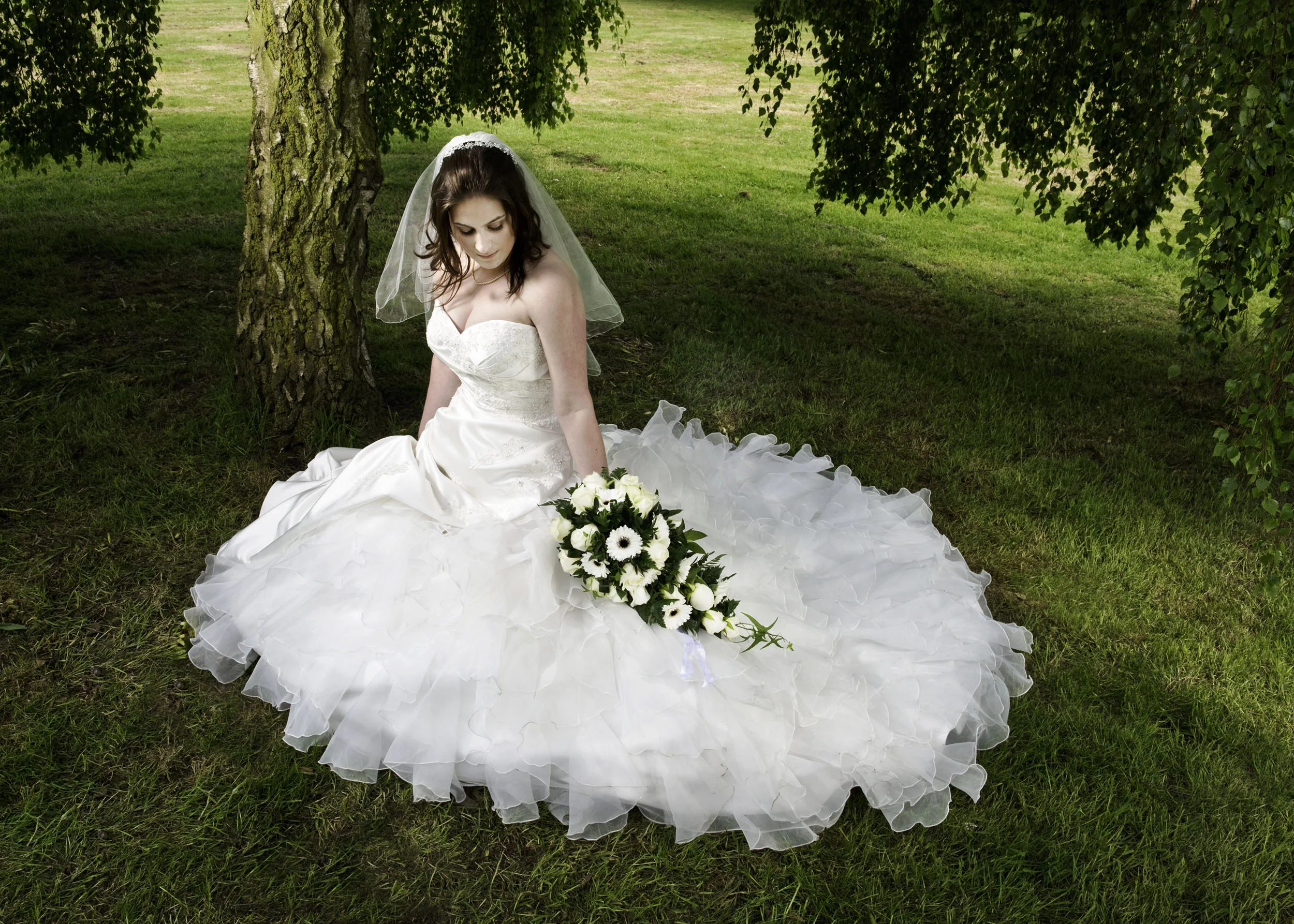 Birch tree shade for the Bride