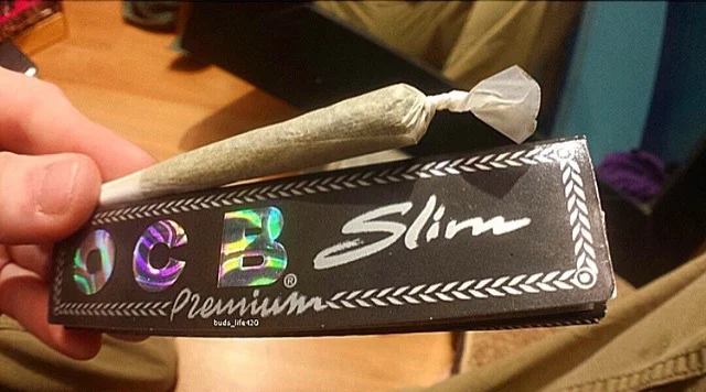 5 Reasons Why You Should Be Rolling OCB