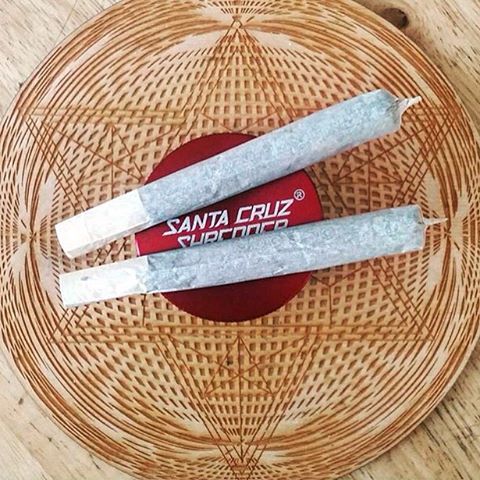 Smoke 2 joints before I smoke 2 joints 💨 #ROLLOCB #ALWAYSSTICKS #OCBFAM #KUSH #CANNABISCOMMUNITY #ROLLONE #GETHIGH #OCB #CANNABIS #DRDINA #BAKED #ONLYTHEBEST